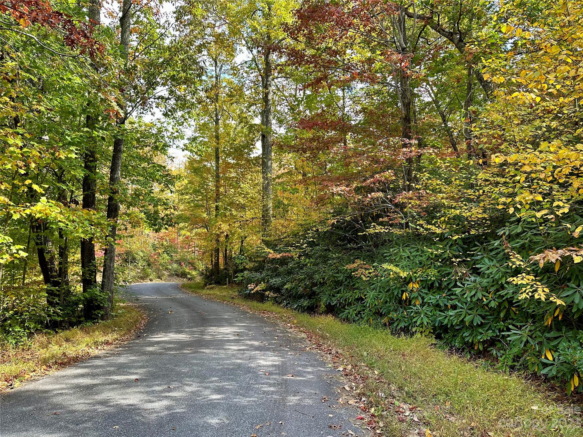 Laurel Mountain Preserve - Land