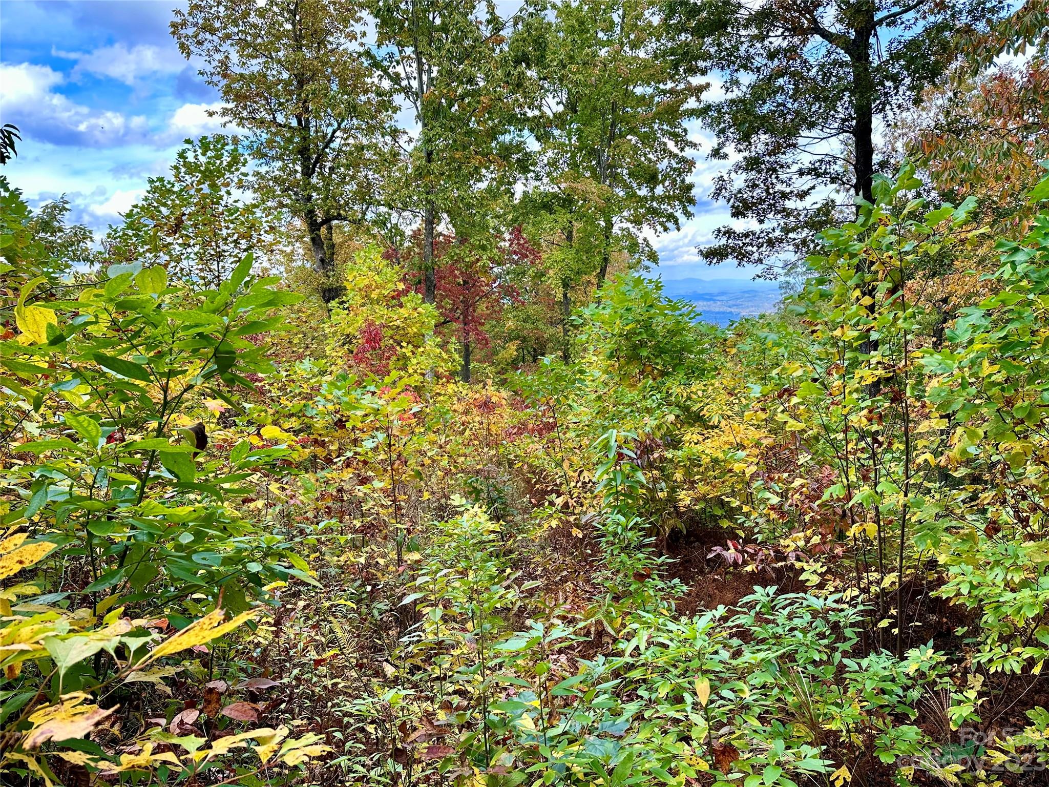 Laurel Mountain Preserve - Land