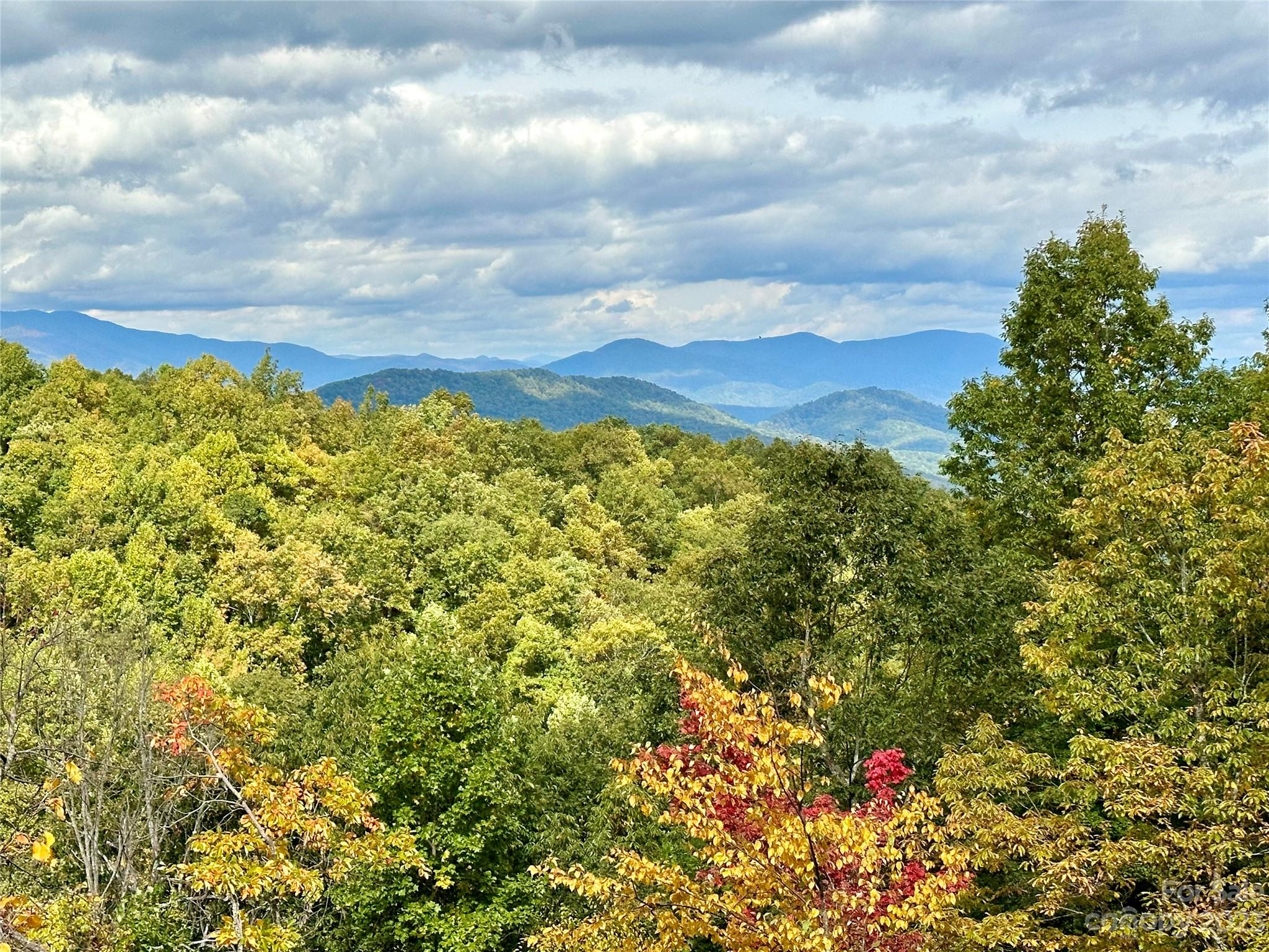 Laurel Mountain Preserve - Land