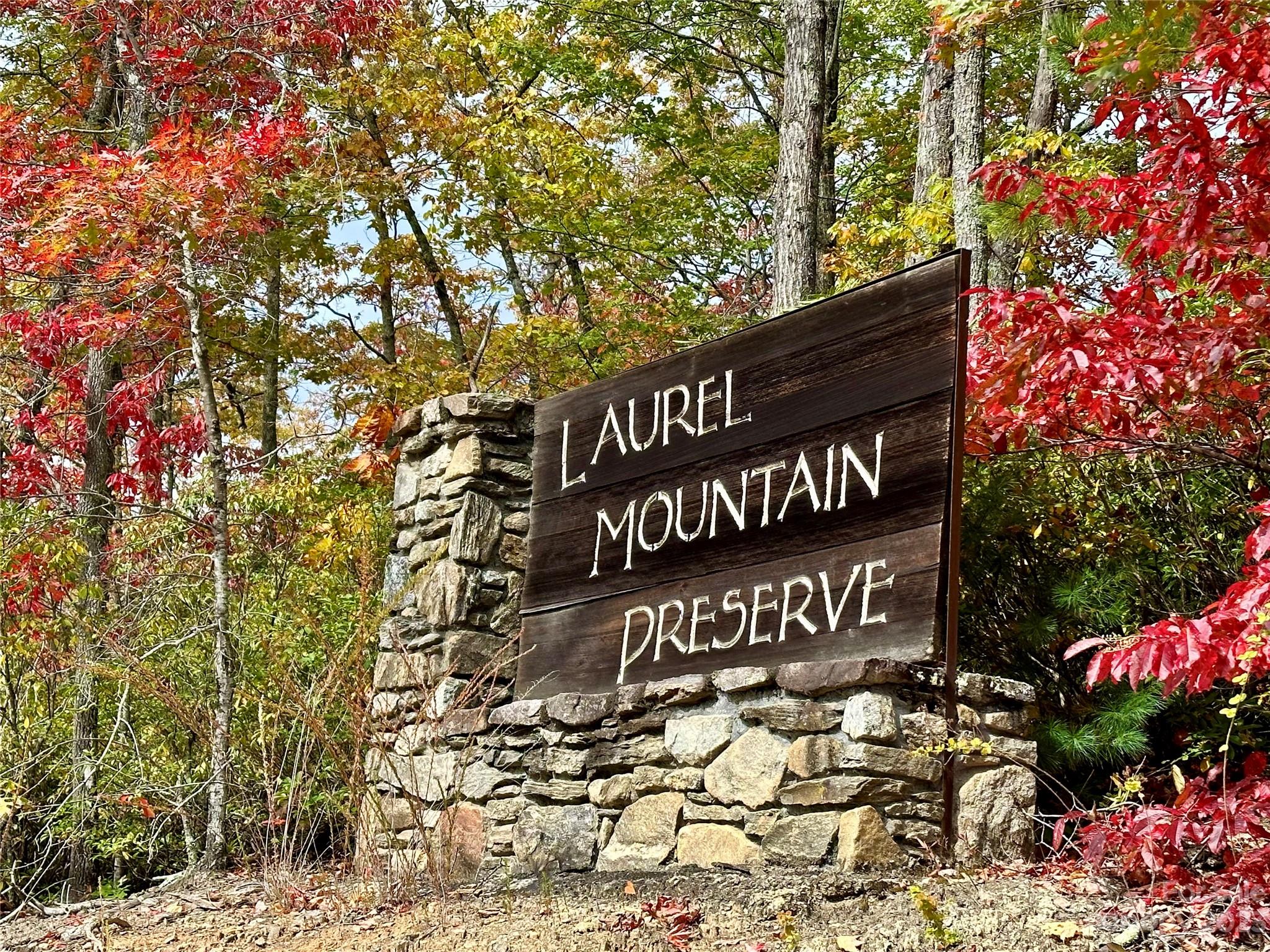 Laurel Mountain Preserve - Land