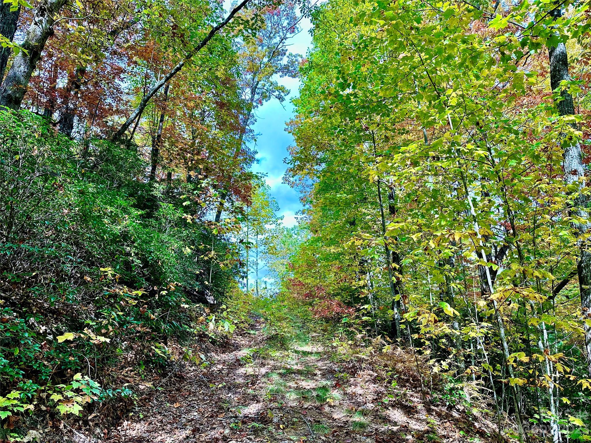 Laurel Mountain Preserve - Land