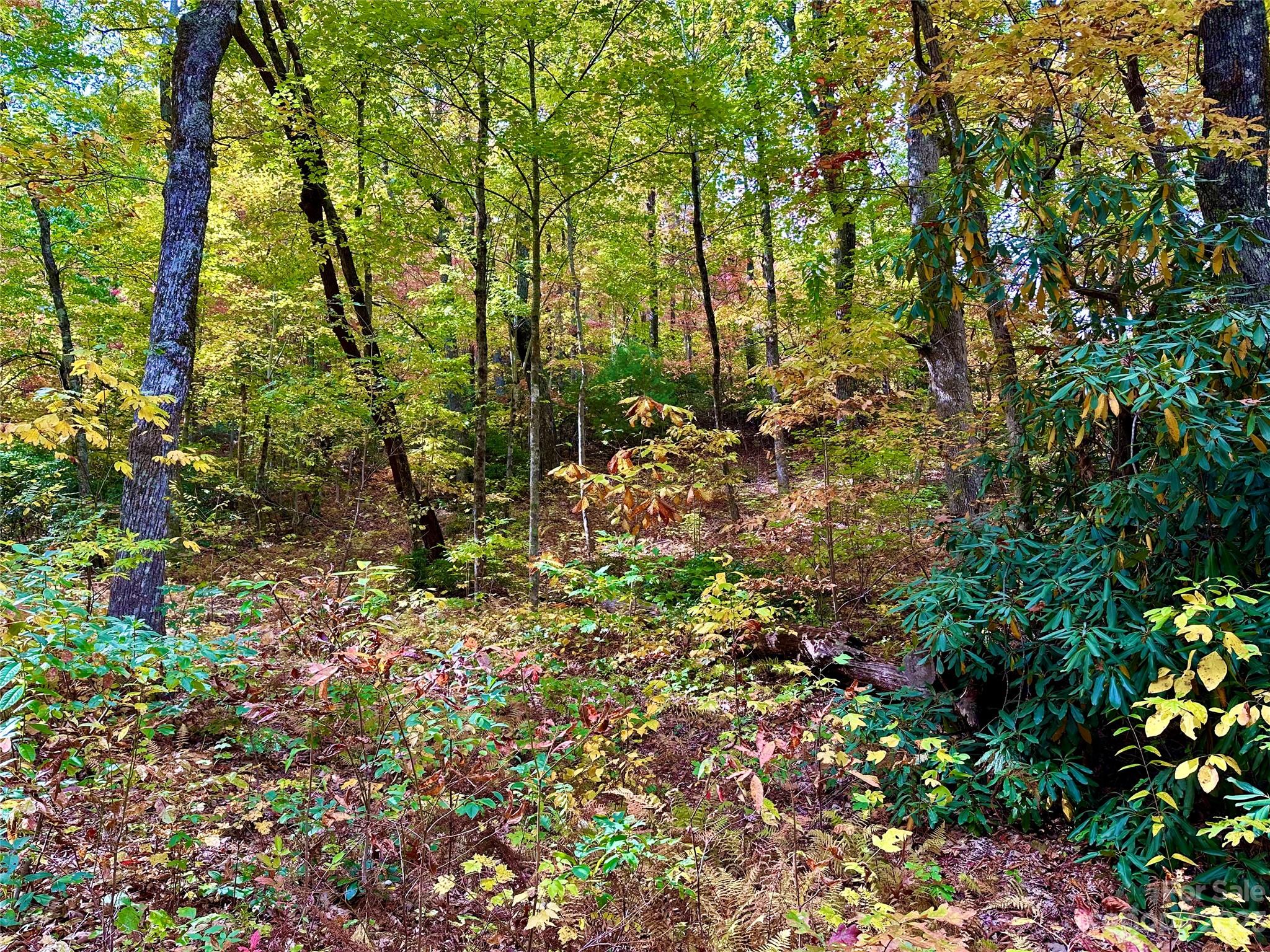 Laurel Mountain Preserve - Land