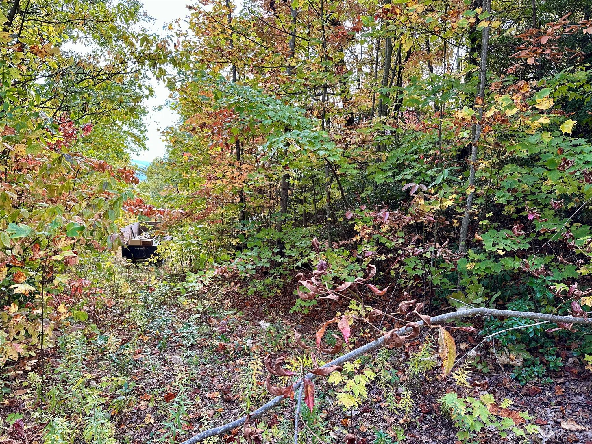 Laurel Mountain Preserve - Land