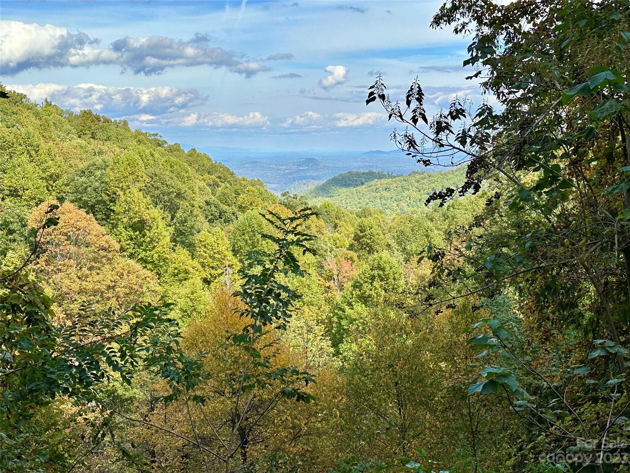 Laurel Mountain Preserve - Land