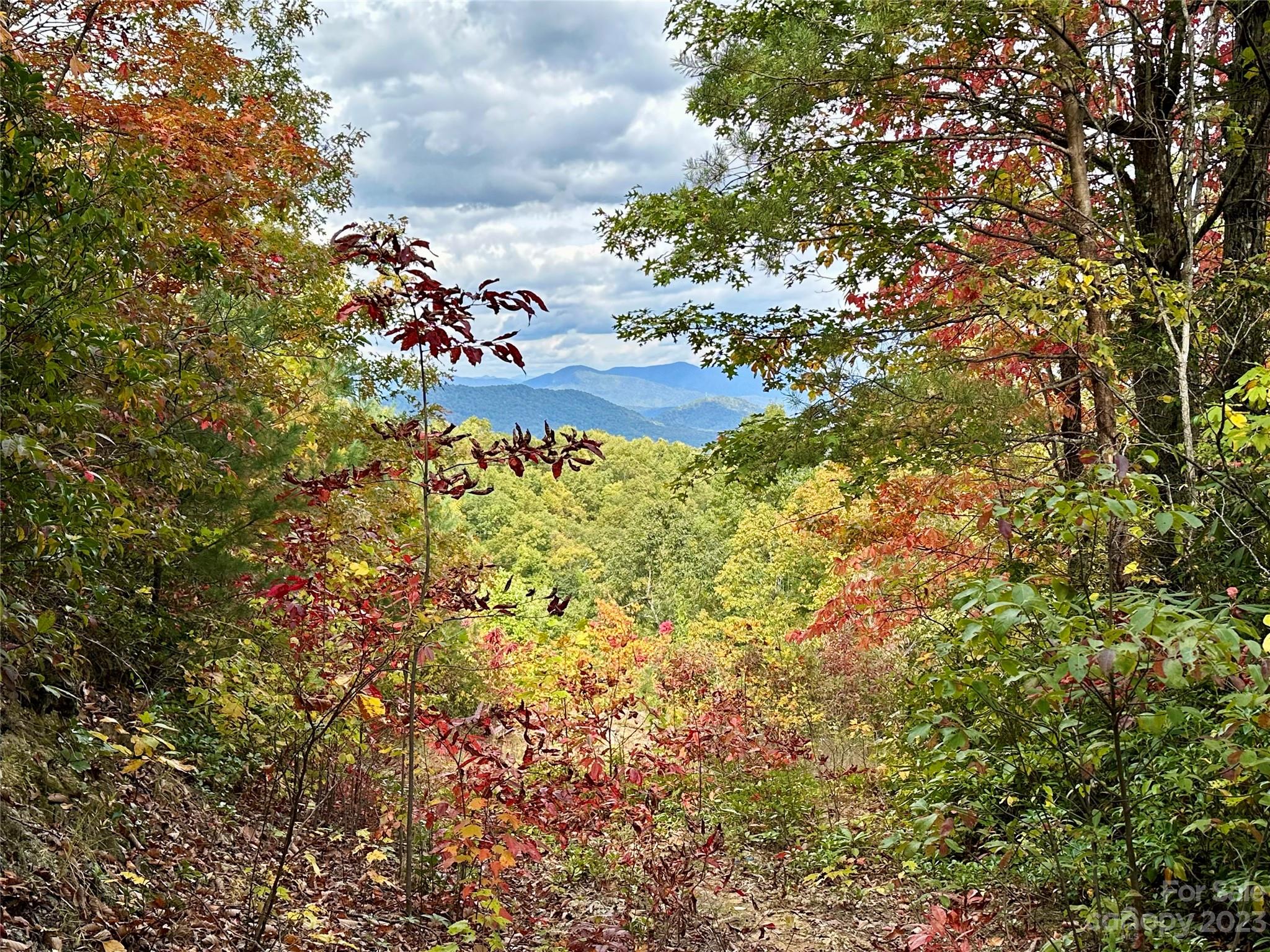 Laurel Mountain Preserve - Land