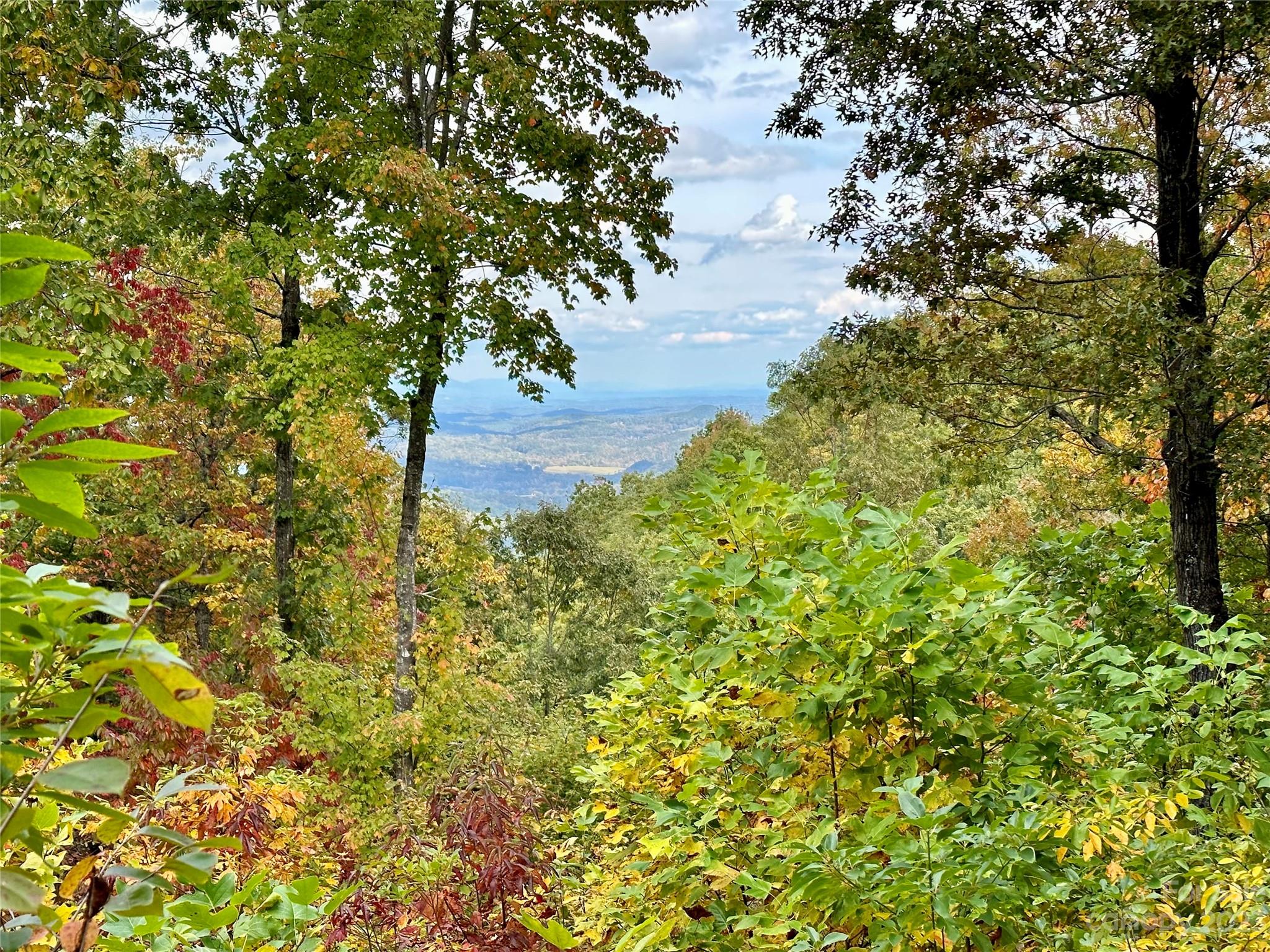 Laurel Mountain Preserve - Land