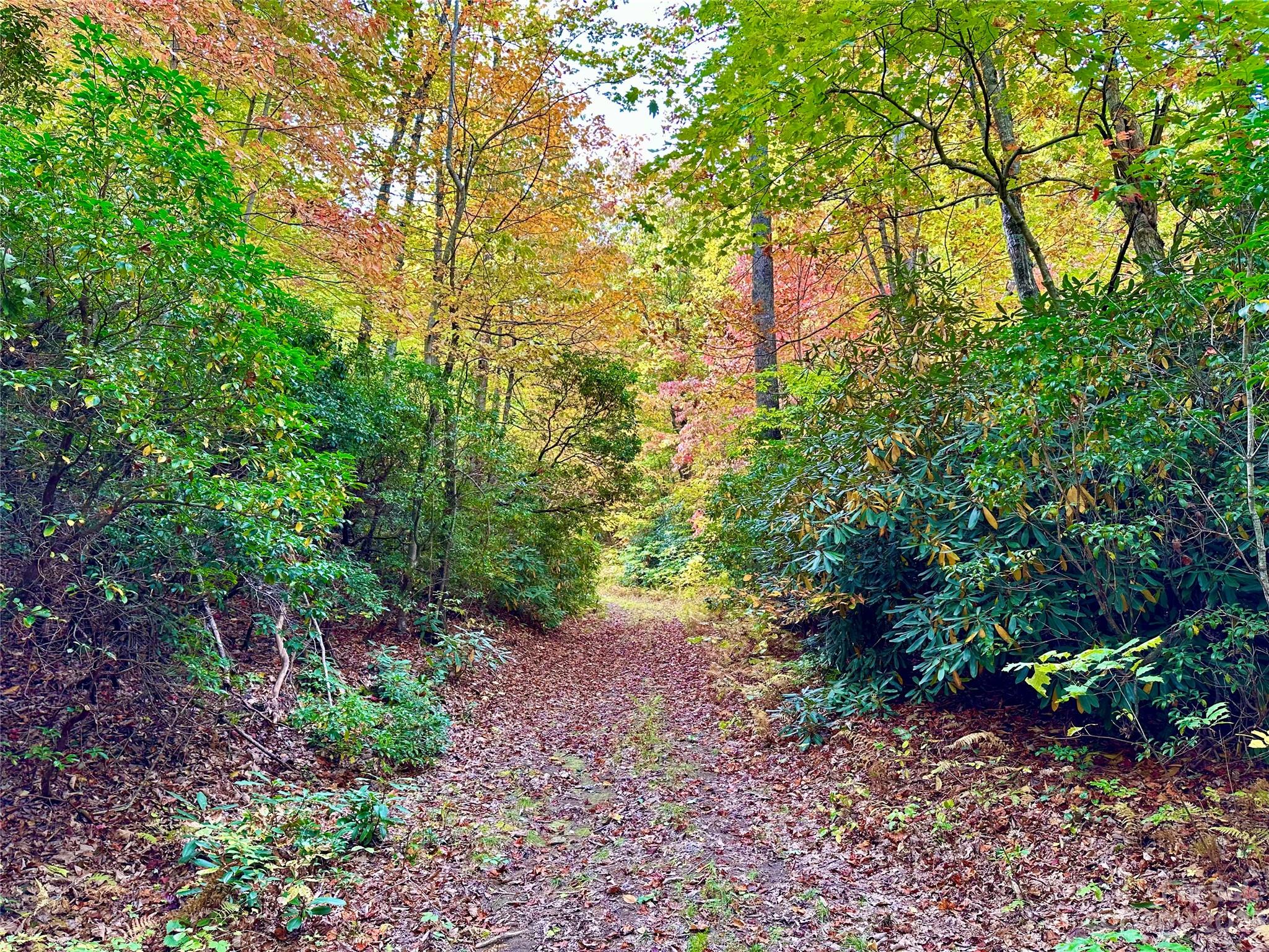 Laurel Mountain Preserve - Land