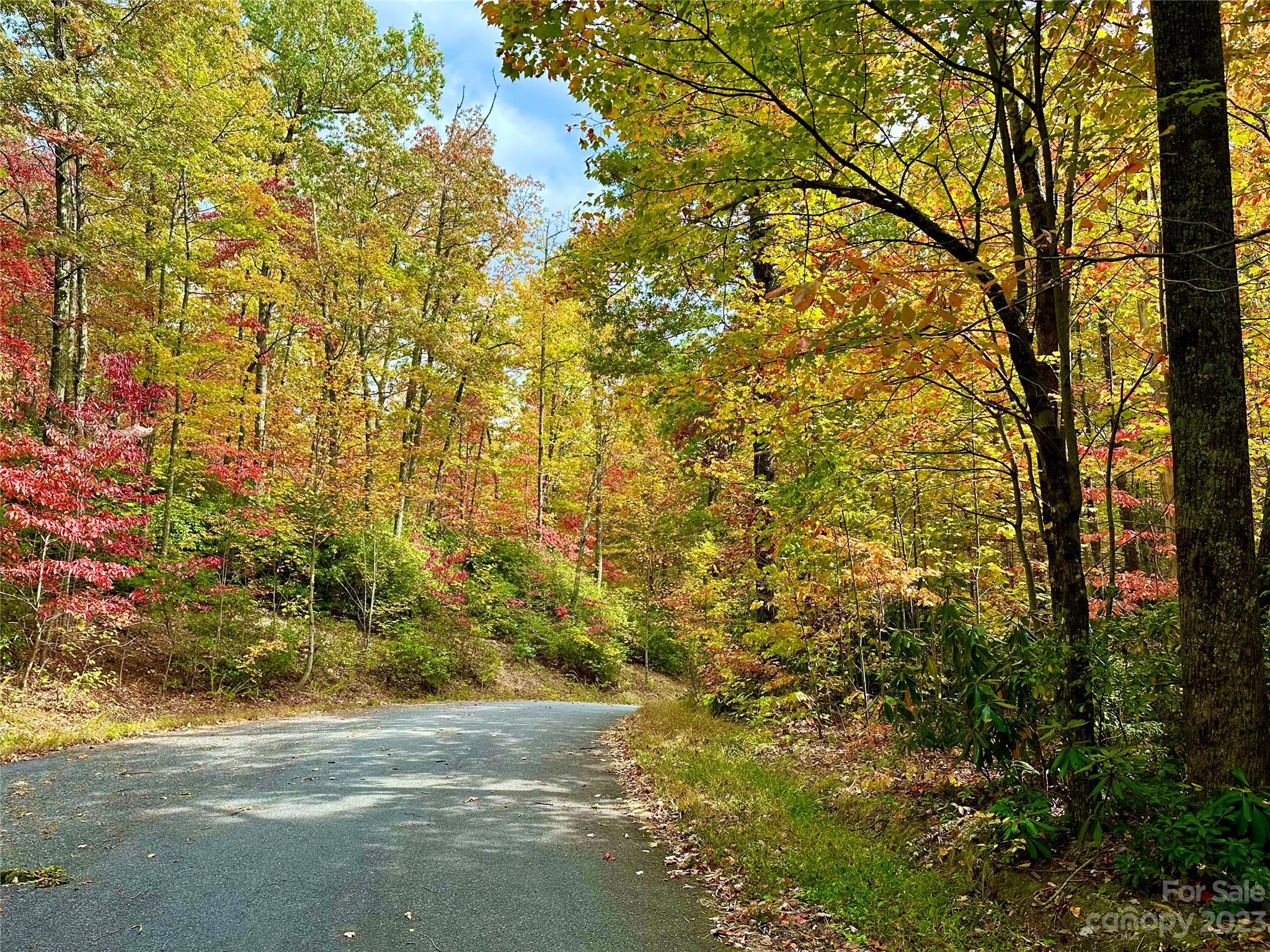 Laurel Mountain Preserve - Land