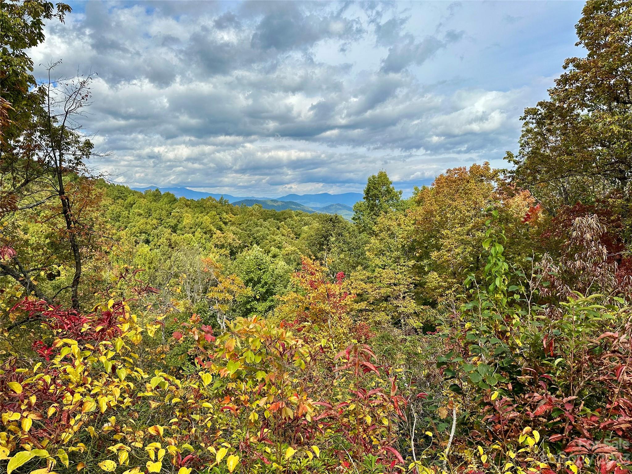 Laurel Mountain Preserve - Land