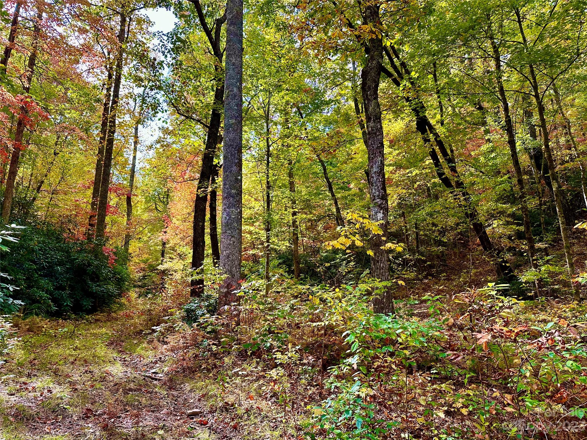 Laurel Mountain Preserve - Land