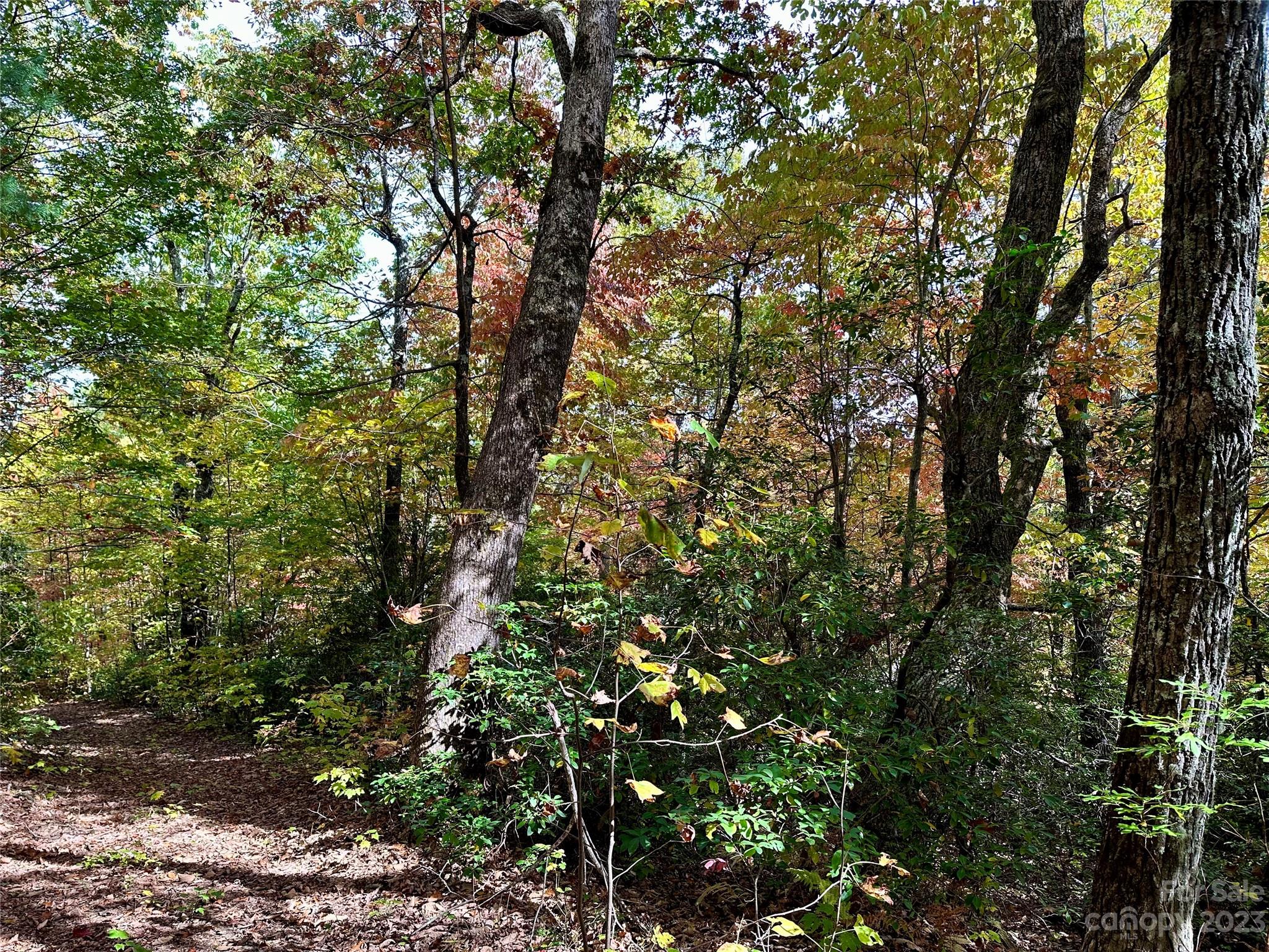 Laurel Mountain Preserve - Land