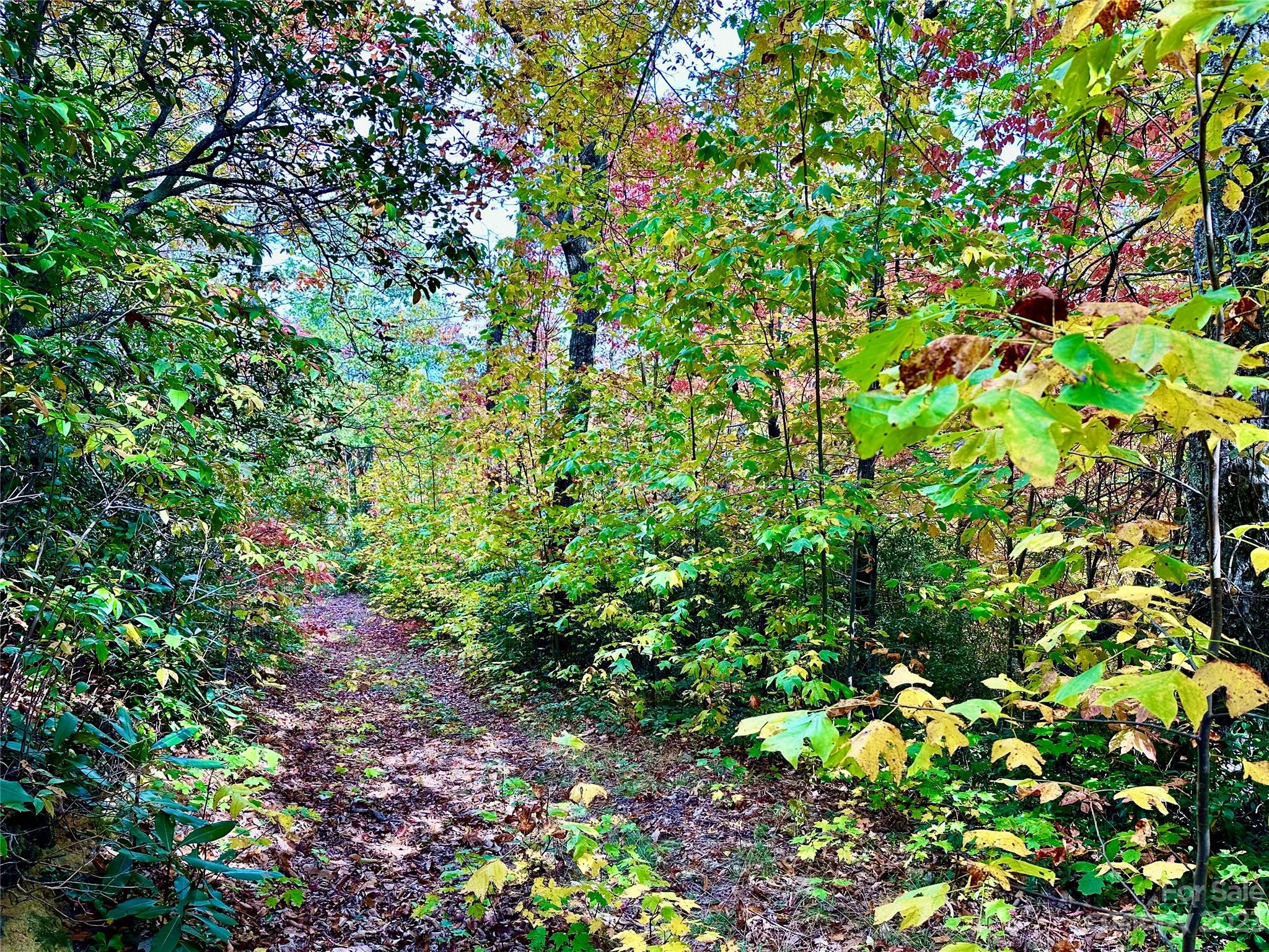 Laurel Mountain Preserve - Land