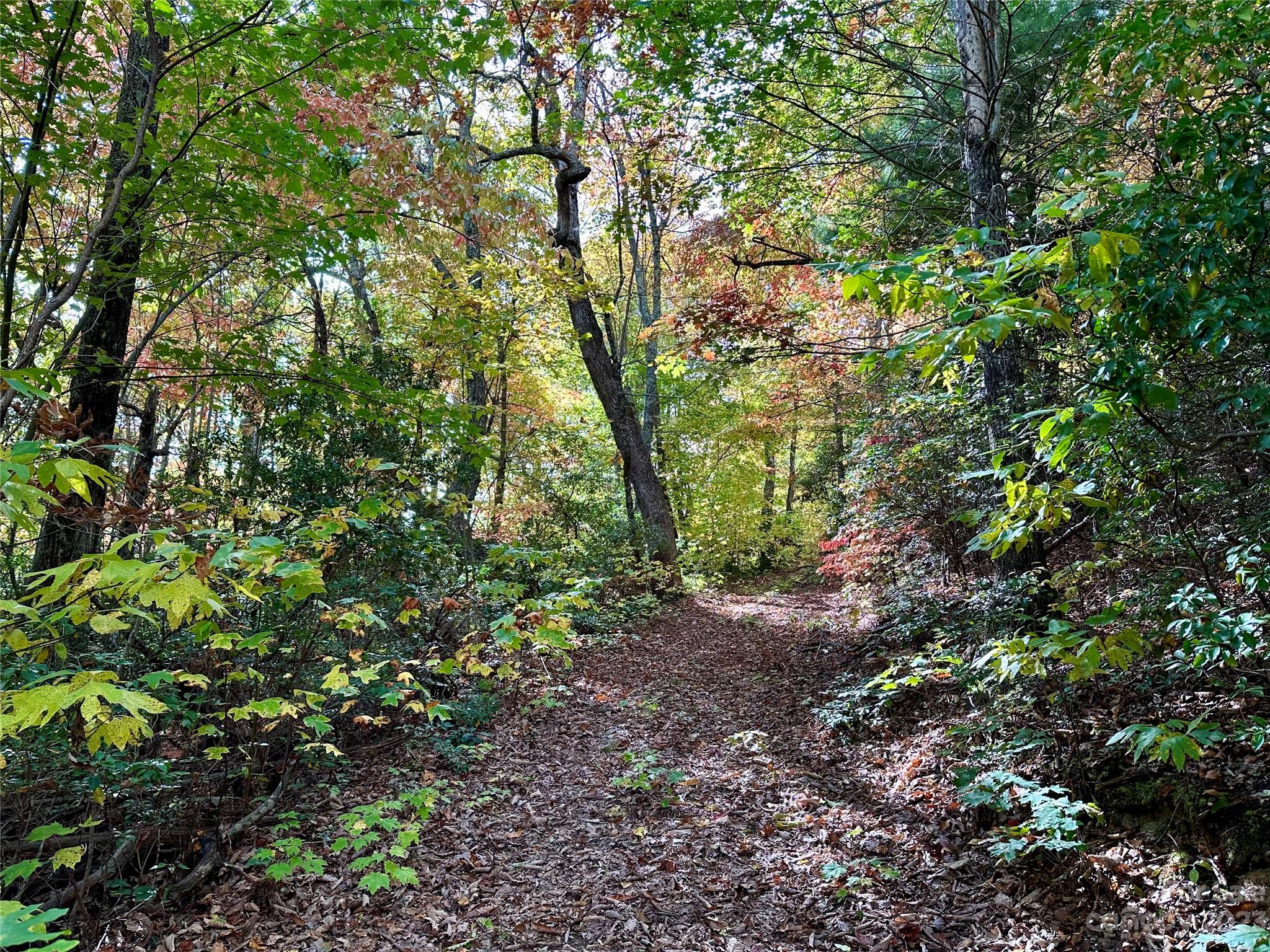 Laurel Mountain Preserve - Land