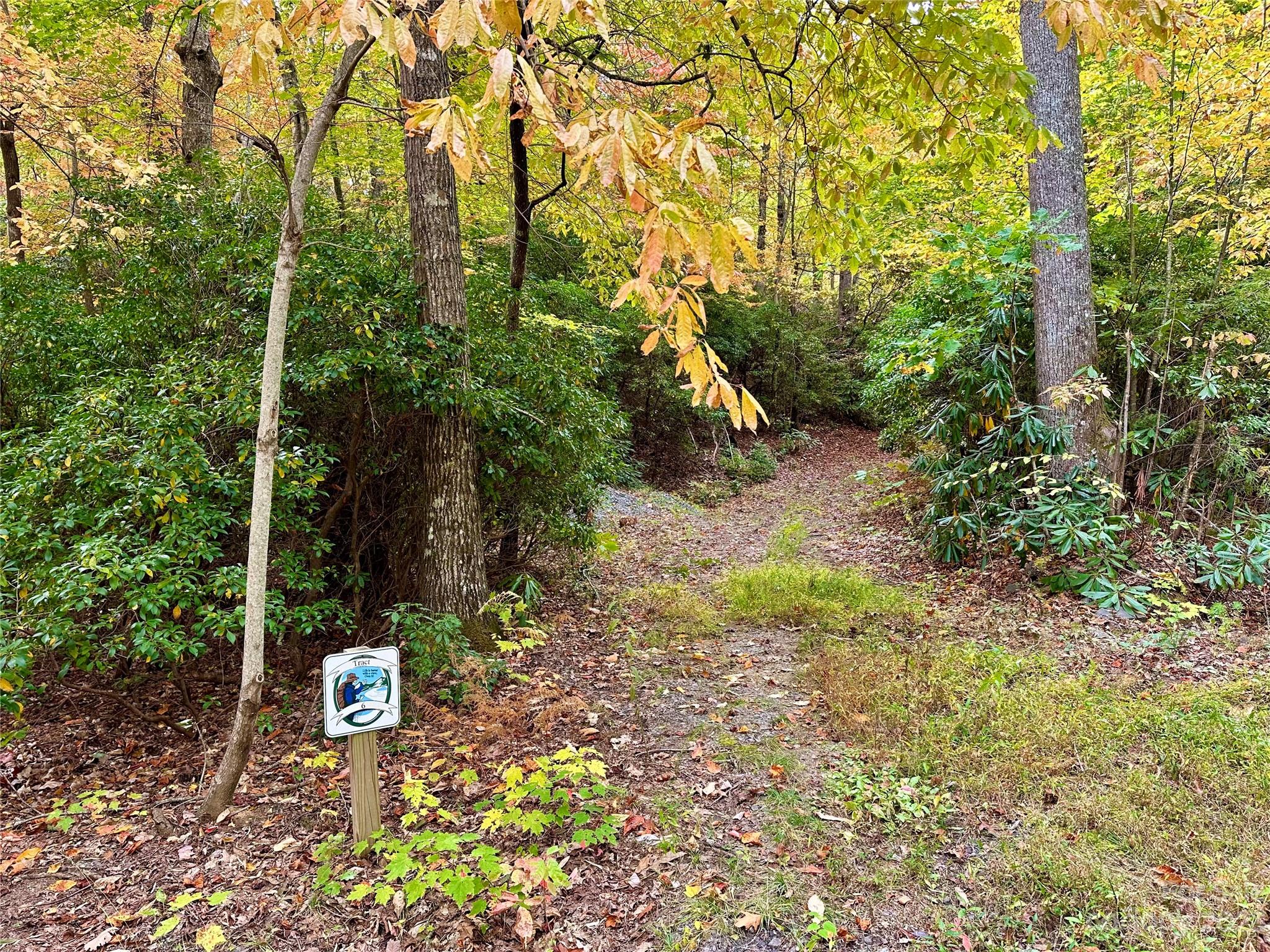 Laurel Mountain Preserve - Land
