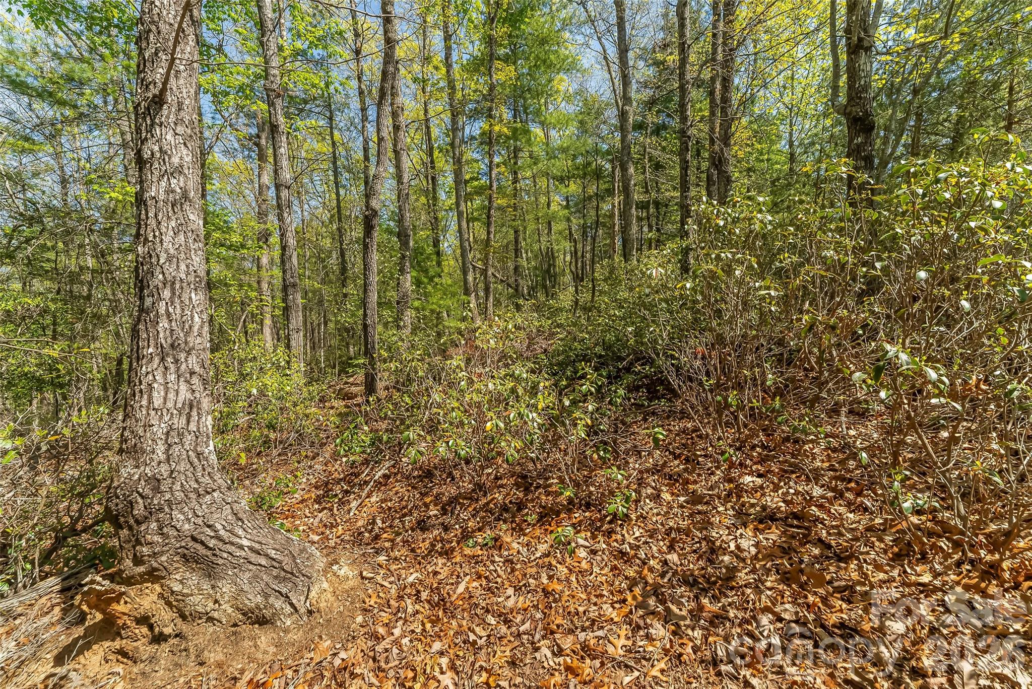 The Arbor at Lake James - Land