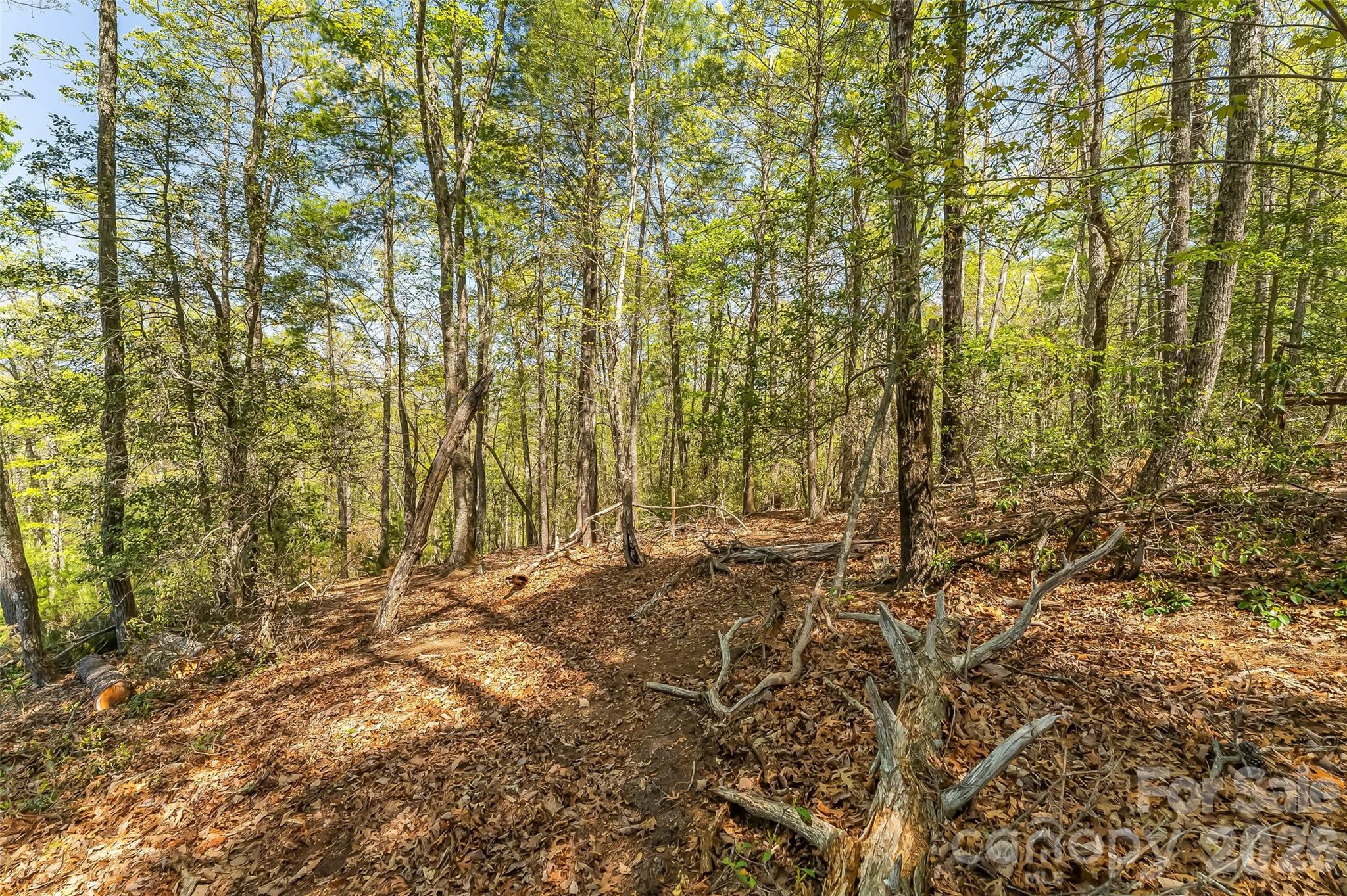 The Arbor at Lake James - Land