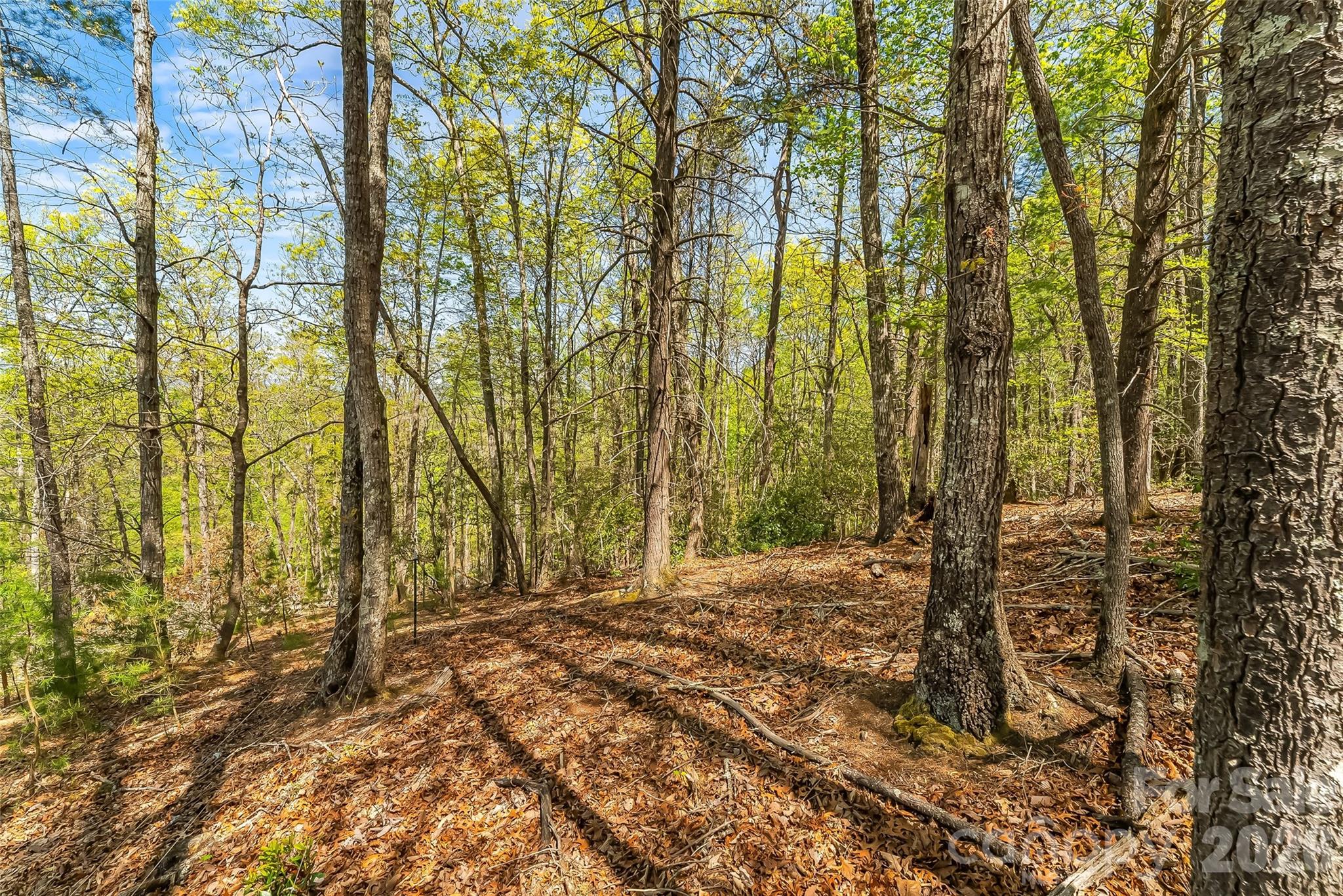The Arbor at Lake James - Land