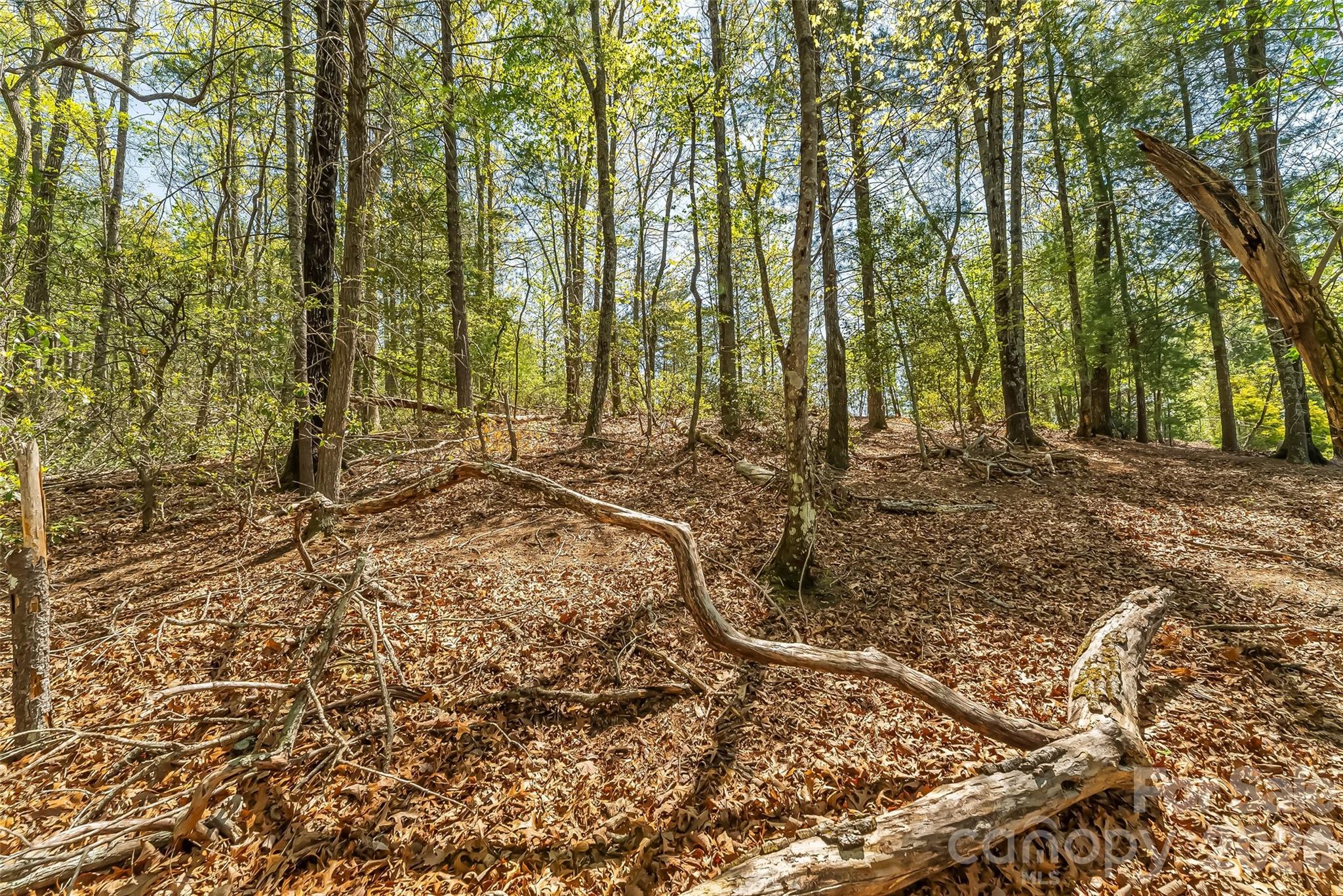 The Arbor at Lake James - Land