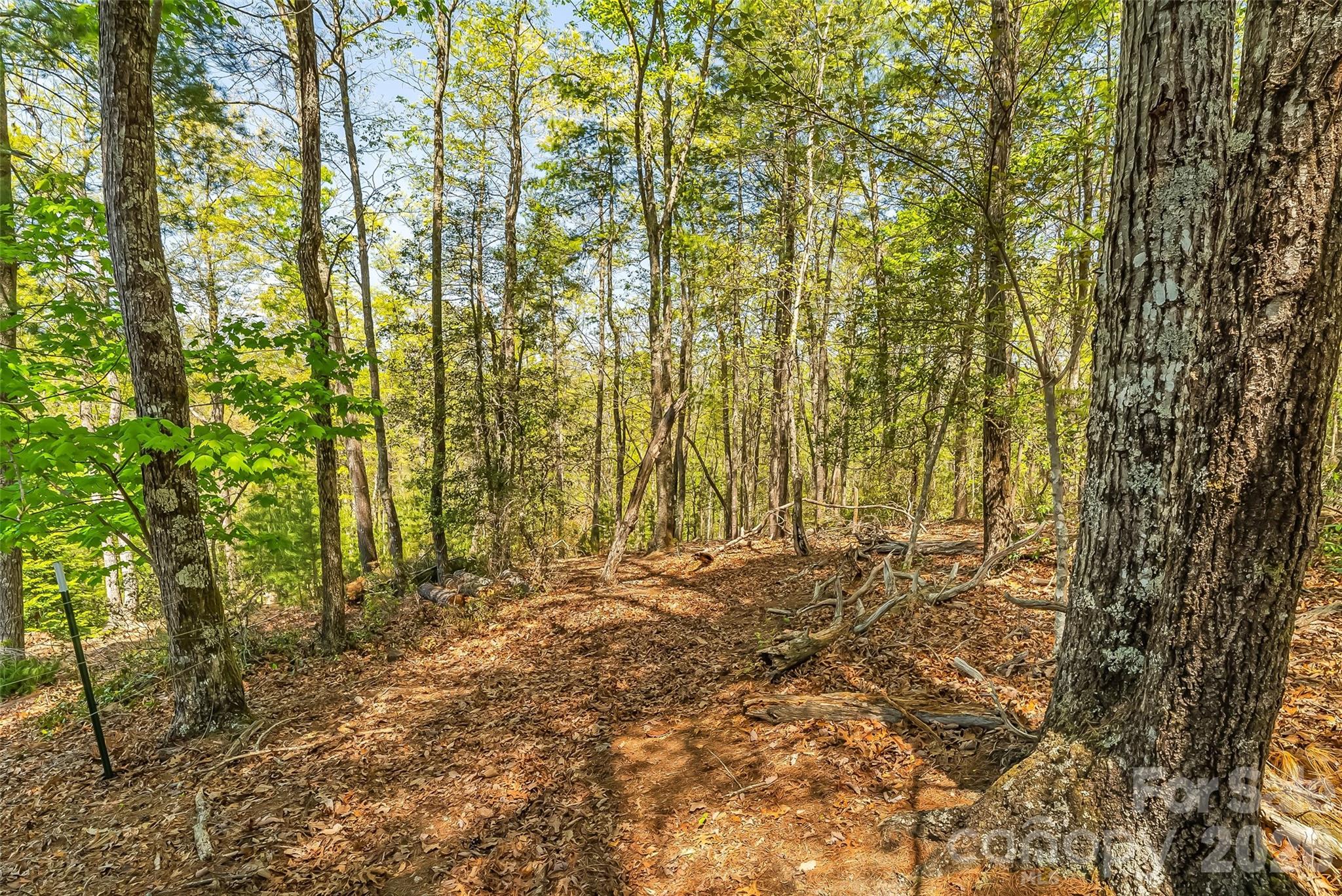 The Arbor at Lake James - Land