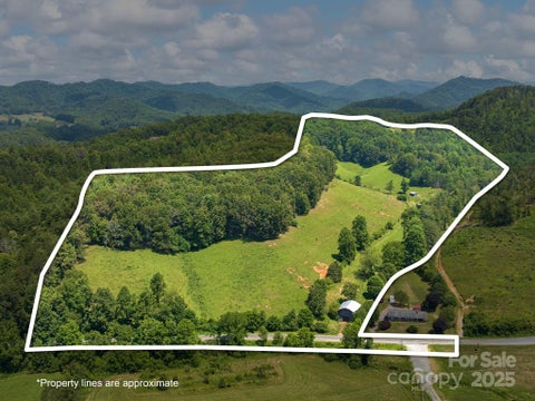 Photo for 821 Crooked Creek Road