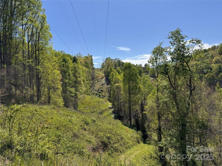 Private and secluded, this beautiful property sits just 1/4 mile from the scenic Toe River and offers a rare blend of convenience and natural beauty. With a mix of paved and gravel roads already in place, access is easy throughout. Multiple level homesites are ready for your dream build, including a higher elevation spot that offers stunning mountain views. Underground electric is installed, making development simpler. Whether you're a hunter, prepper, or nature lover, this land is a perfect fit for an off-grid retreat, a mountain getaway, or a full-time homestead.