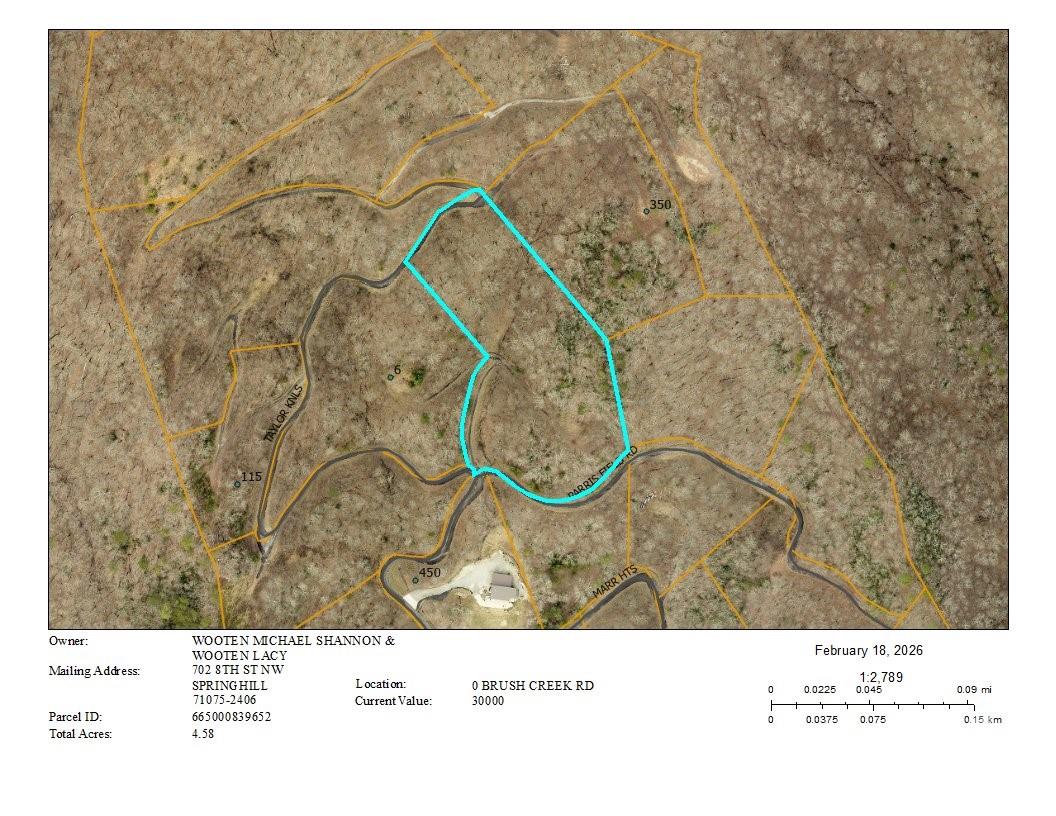 Mountain Overlook - Land