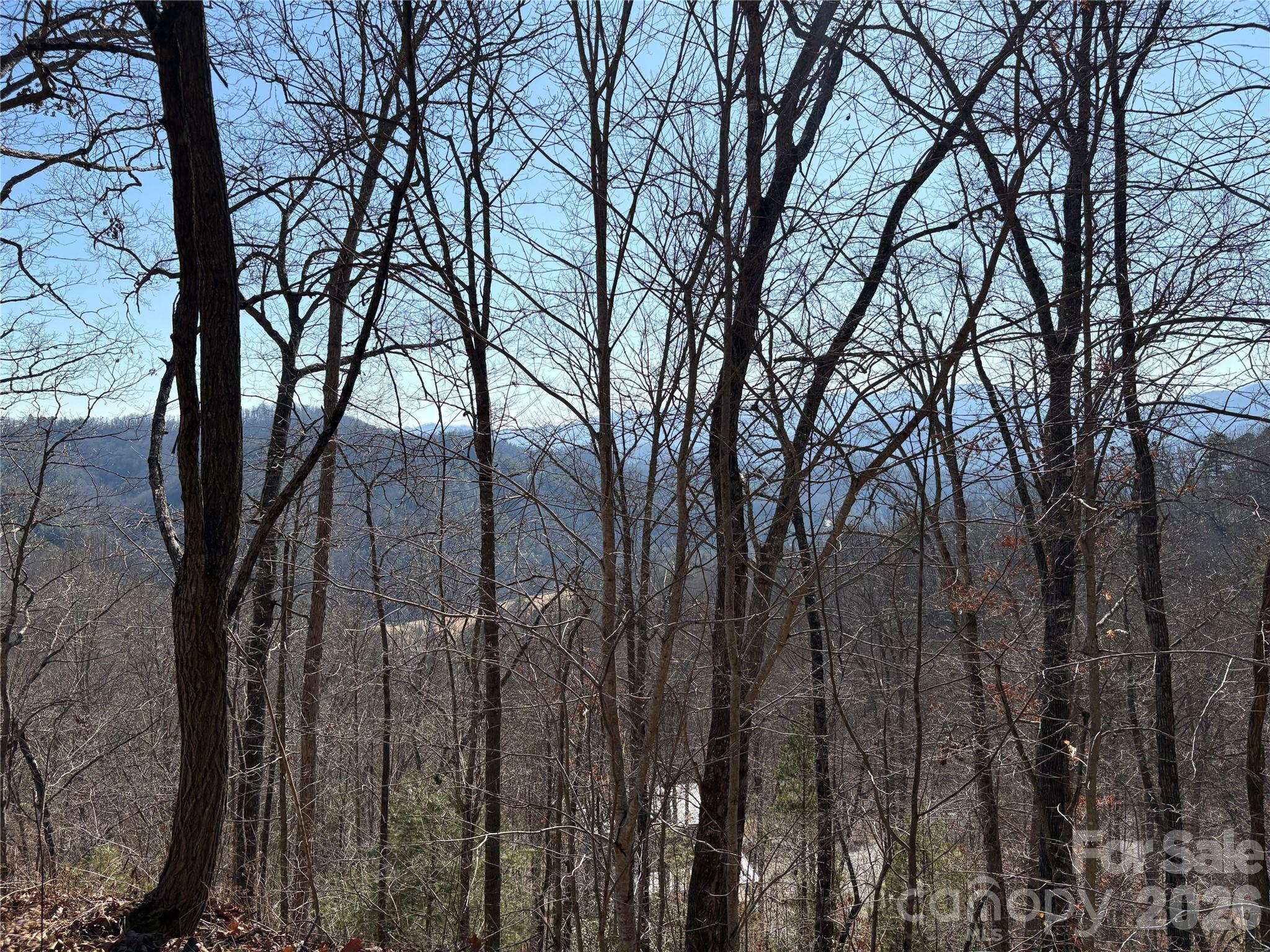 Mountain Overlook - Land