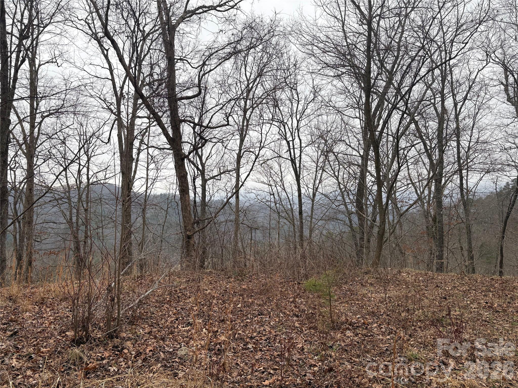 Mountain Overlook - Land