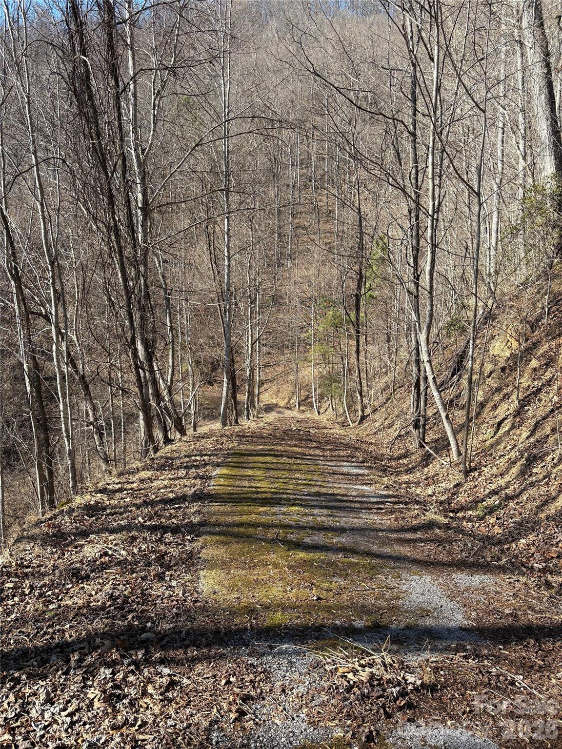 Mountain Overlook - Land