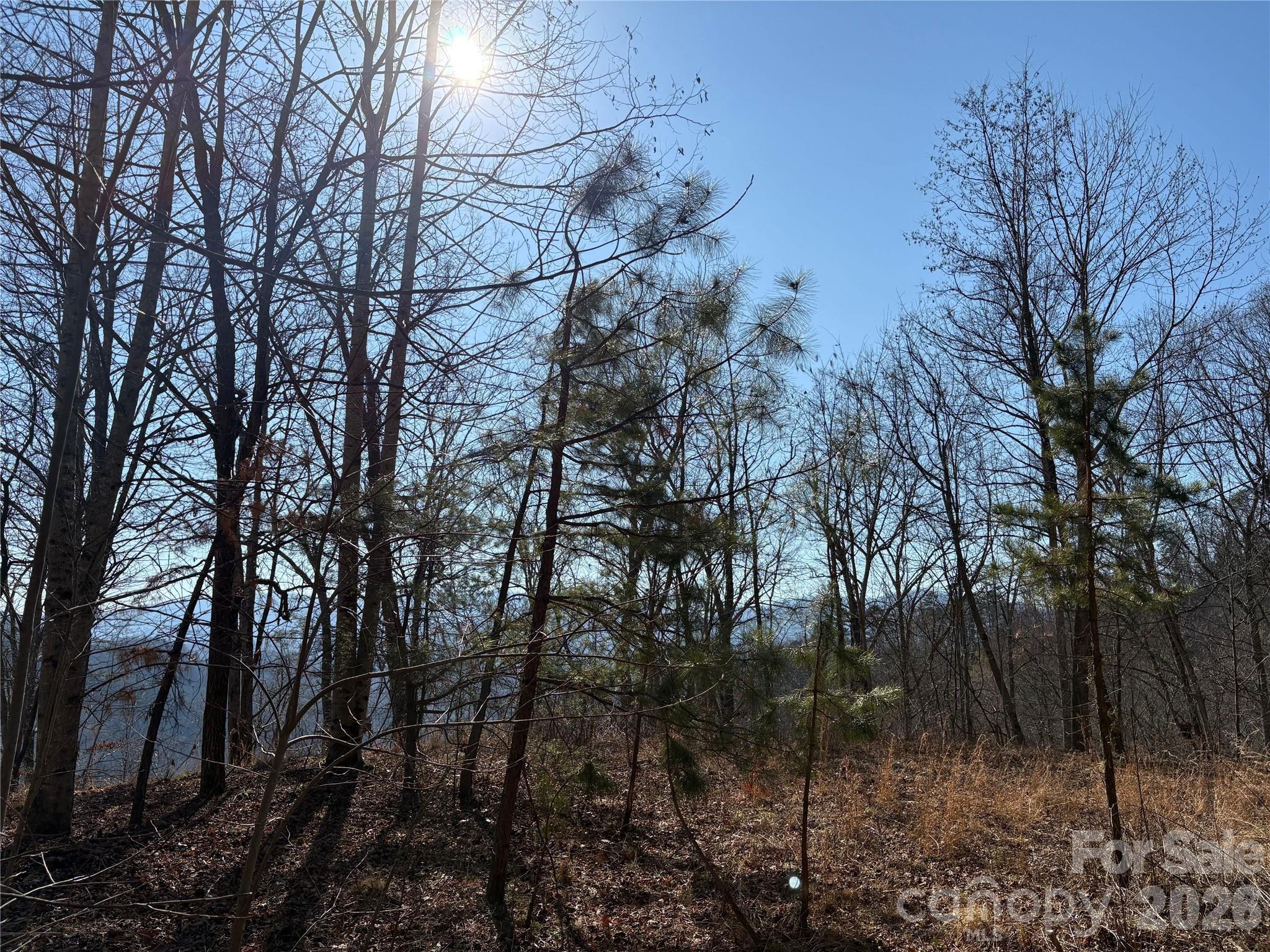 Mountain Overlook - Land