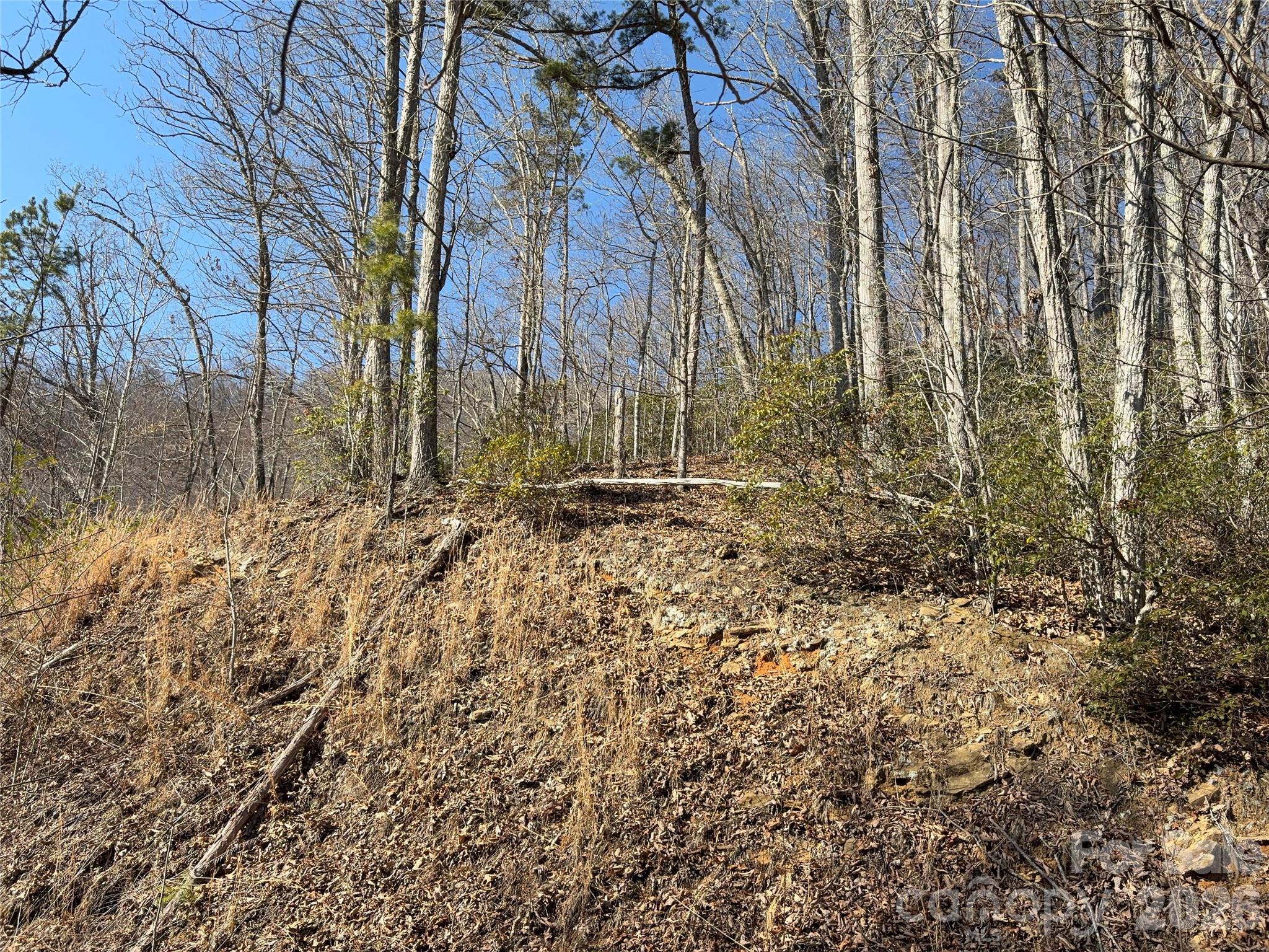 Mountain Overlook - Land