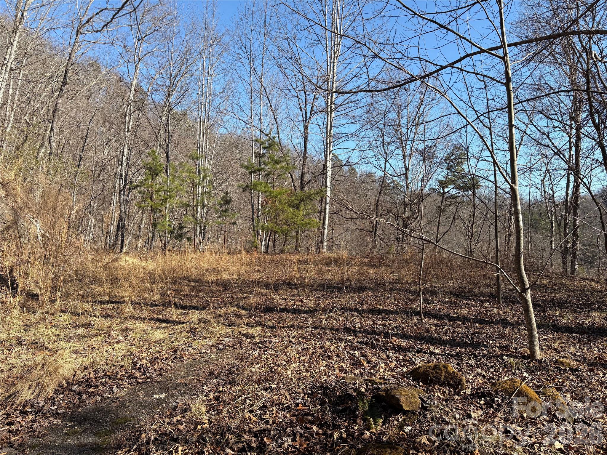 00 Parris Field Road 37