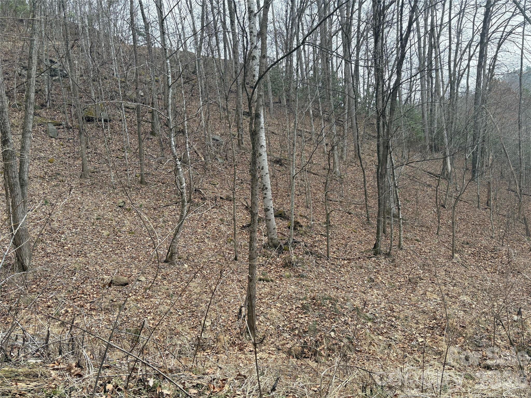 Mountain Overlook - Land