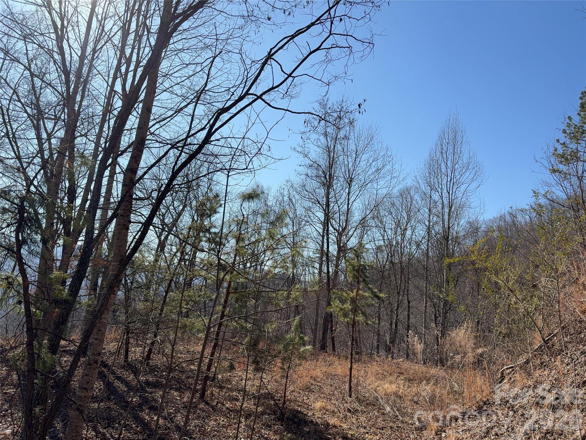 Mountain Overlook - Land