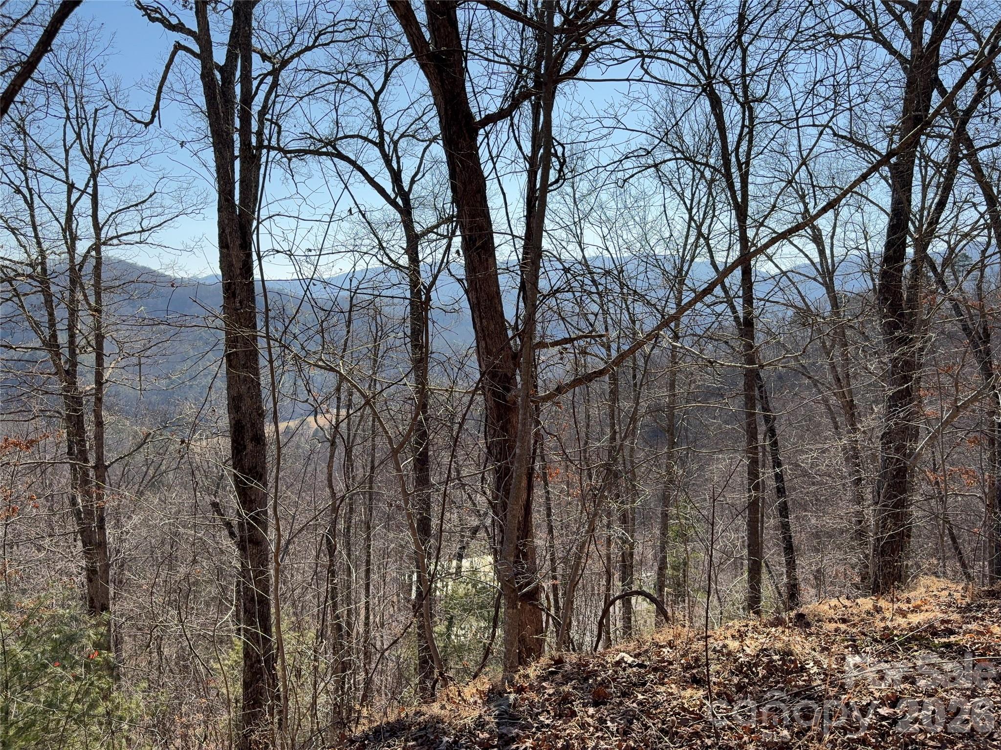 Mountain Overlook - Land