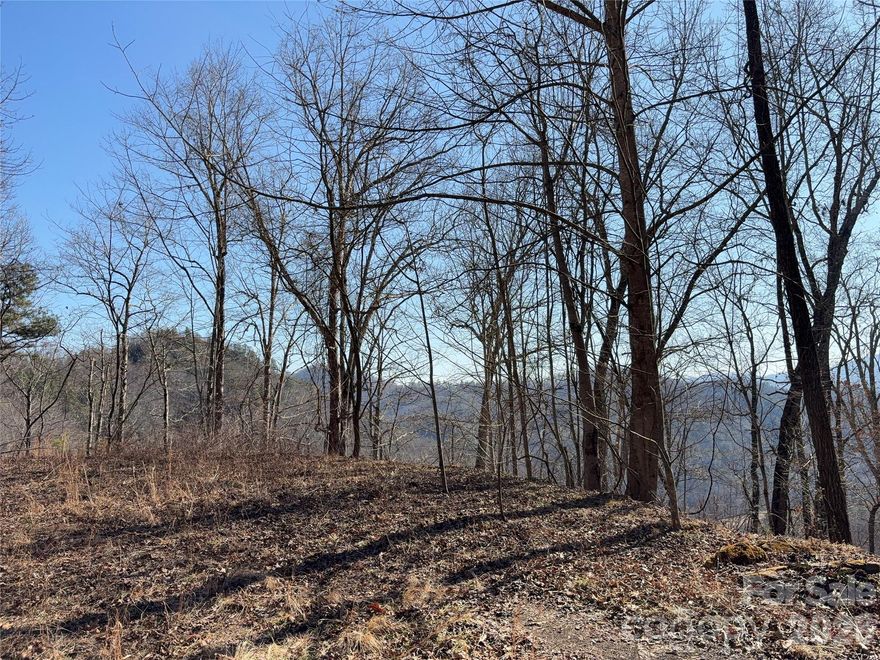 UNRESTRICTED LOT WITH LEVELED AREA and VIEWS!
Are you looking for a bigger lot with long range mountain views to build your dream home? How about a homesite that is already cleared with a driveway? Look no further than lot 37 in Mountain Overlook. To add to the allure, there is a small stream running along the edge of the property. Come build your primary, secondary, or vacation home on this quiet, cleared homesite and listen to the tranquil sounds of nature.  This lot also has a recorded survey for peace of mind. Explore 4.58 acres and discover the flat area above the leveled area that can be used for outdoor activities. This has a 2 bedroom septic operations permit stating a septic was installed (buyer to confirm with county if it was installed or not as it is not recorded there).

Short term rentals and tiny homes allowed. No HOA. 

Located in Bryson City near Cherokee, Fontana Lake, Nantahala, and popular hiking trails.

 **Combine it with adjoining lot 41 for a little over 9 acres of bliss!  Seller is open to hearing offers for both.
