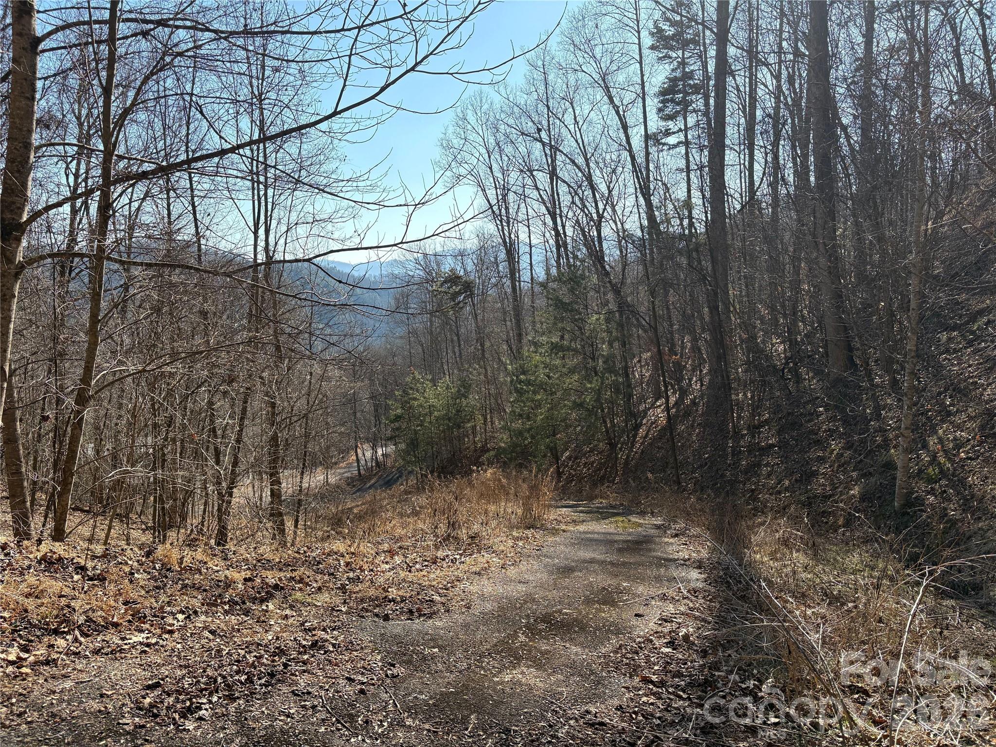 Mountain Overlook - Land