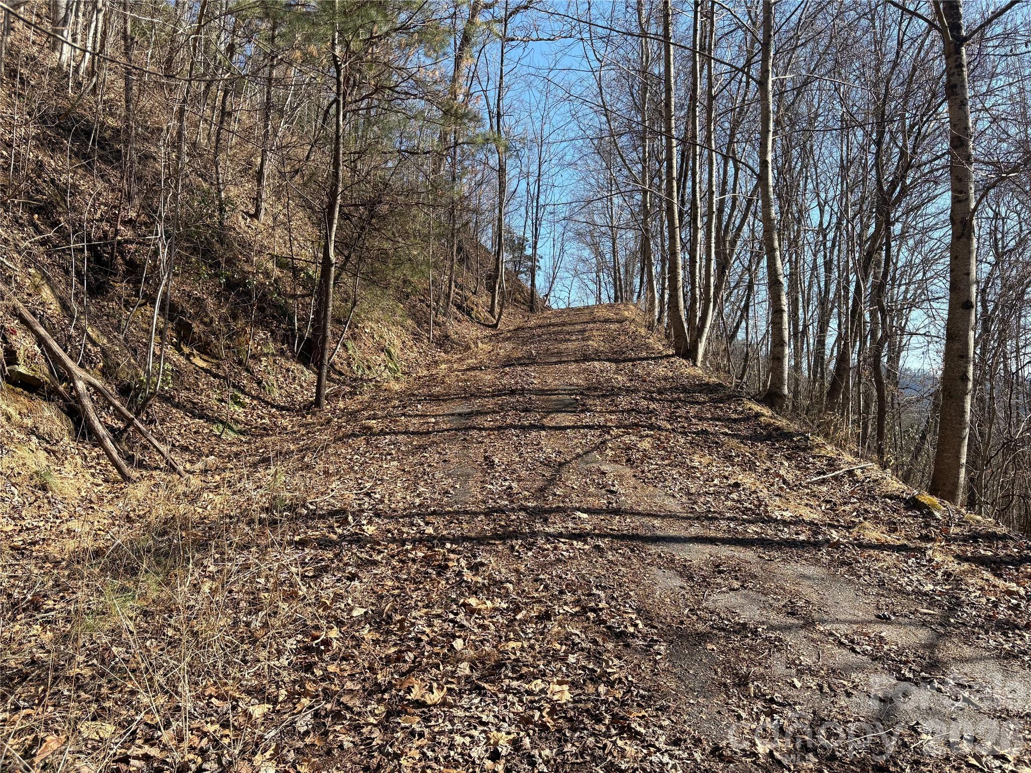 Mountain Overlook - Land
