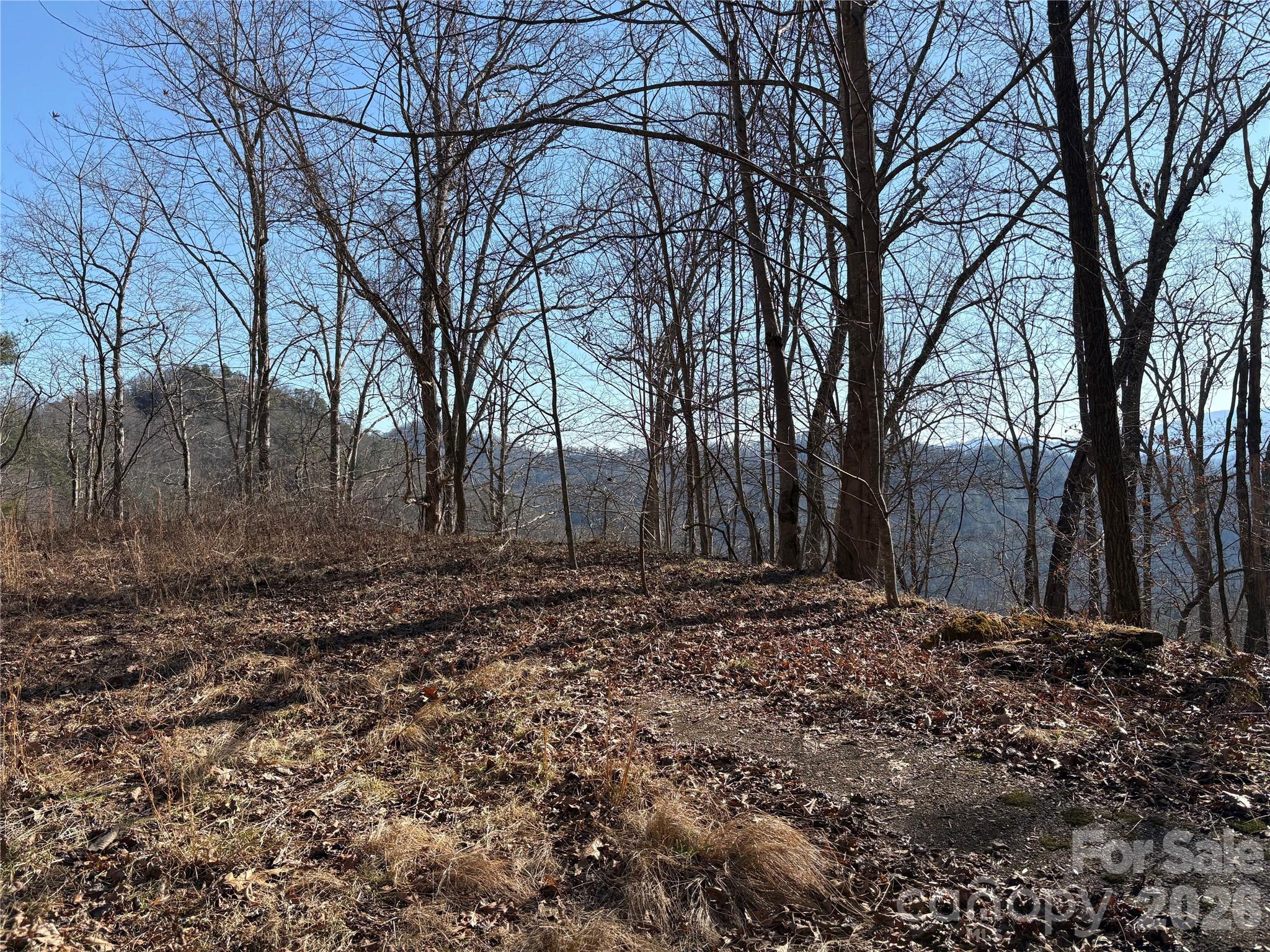 Mountain Overlook - Land