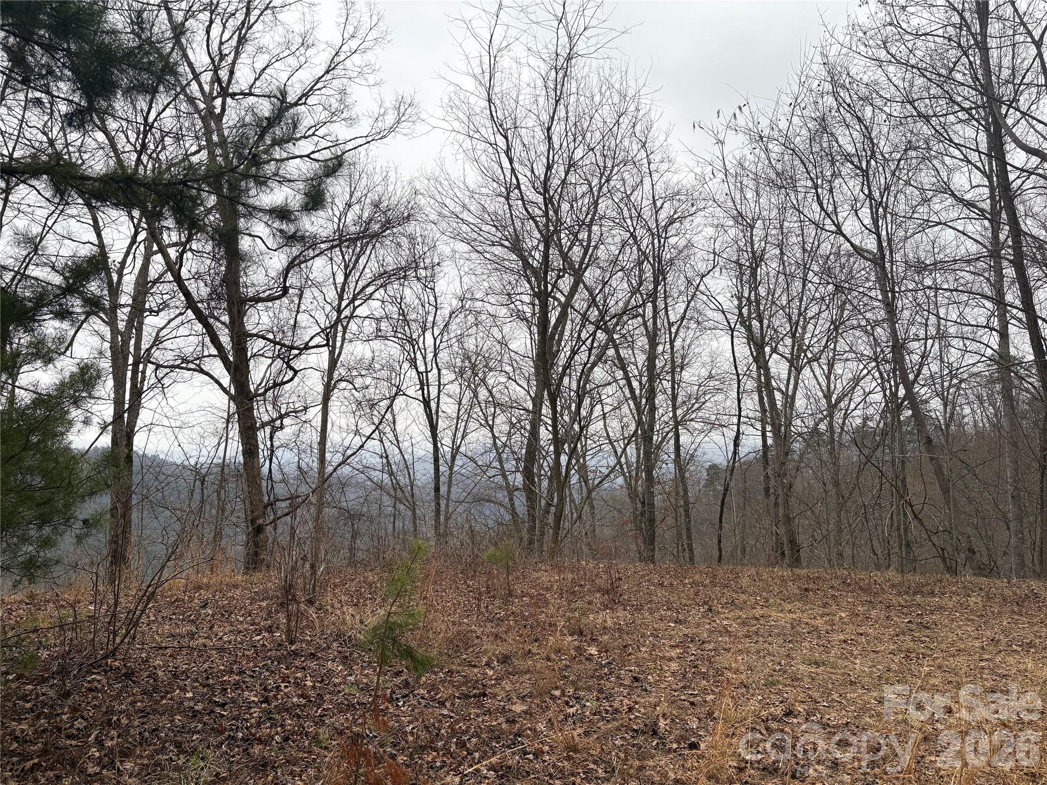 Mountain Overlook - Land