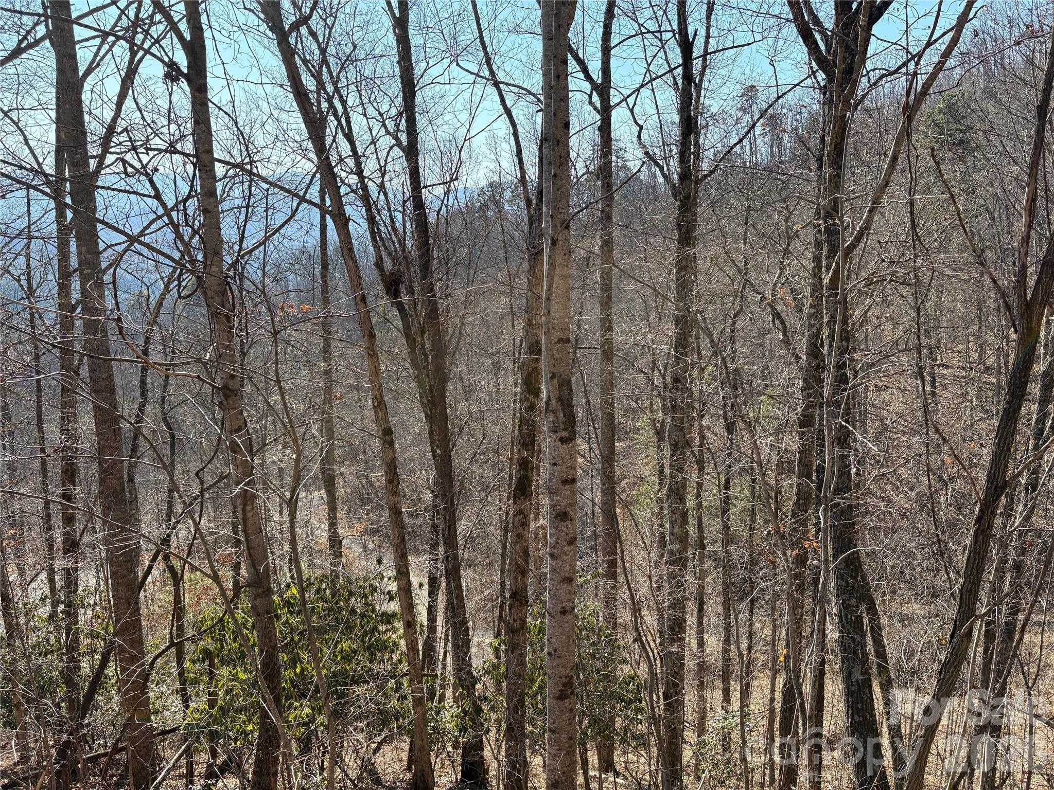 Mountain Overlook - Land