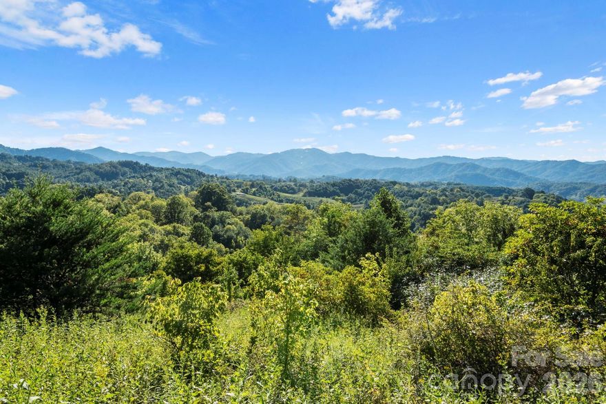 47 acres with big mountain views barely a mile from Marshall’s Main Street. Build the road, build the dream. This 47+ acre Blue Ridge mountain tract is the one of a kind of “how is this still so close to town?” property buyers hunt for and rarely find. You’ll get awe-inspiring long-range views, a gentle, rolling landscape, and multiple potential homesites whether you want to tuck into privacy or open up sightlines for big vistas. 
This land has a story: it was once a working cattle farm, and while it’s naturally re-grown over time, the open pasture potential is still here ready to be reclaimed if you want a homestead setup, grazing, gardens, orchards, or simply more open views. The forest is young in growth, which is a plus for buyers who want to shape a property selective clearing, trail systems, view corridors, and future landscaping without battling massive mature timber.
Even better, a spring originates on the property, adding that hard-to-find “water source” magic that makes land feel alive and usable.
The key detail (and it’s priced accordingly) access will be created from Bailey’s Branch Rd, and the buyer will need to build the road. If you’ve been waiting for a close in acreage play and you’re willing to invest in access, this one pays you back with location, scale, and scenery. Price improvement to $375,000, exceptional value for 47+ acres this close to town. New Survey with markers in place. Nestled in the heart of the Blue Ridge Mountains, this property strikes a perfect balance between seclusion and convenience. It's a haven for artists, nature enthusiasts and those in search of a serene escape. With a short 24-mile drive to the vibrant city of Asheville, you can enjoy the cultural offerings and amenities while returning to the tranquility of your mountain oasis. Privacy and seclusion are at the forefront of this property, yet it maintains easy access to local services and essentials in Downtown Marshall. Whether you dream of building your mountain retreat, embarking on a development project, or securing a unique investment, this canvas of possibilities is yours to explore. Don't miss the chance to make this your slice of mountain paradise. Contact your agent for a private showing.