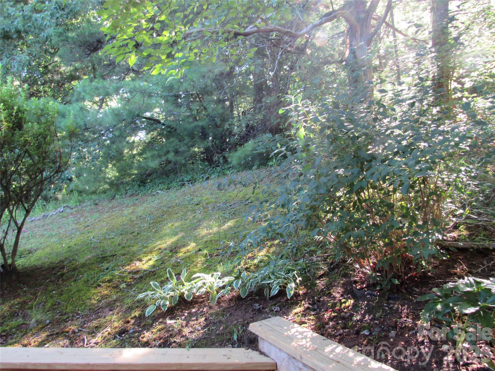 6 Woodlands Drive