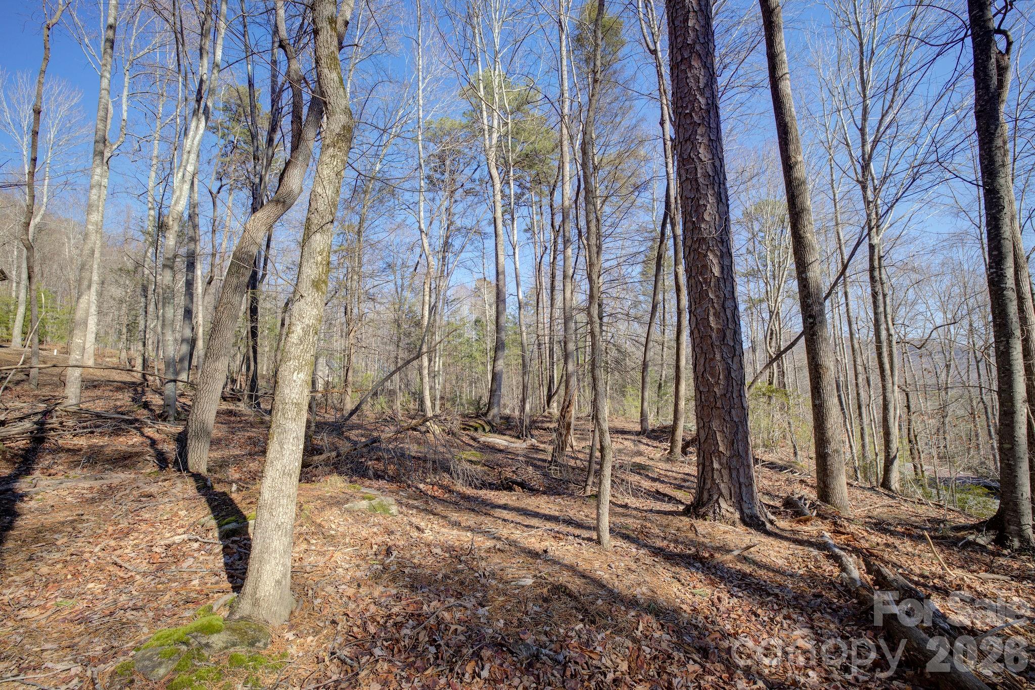 004 High Road Court 4