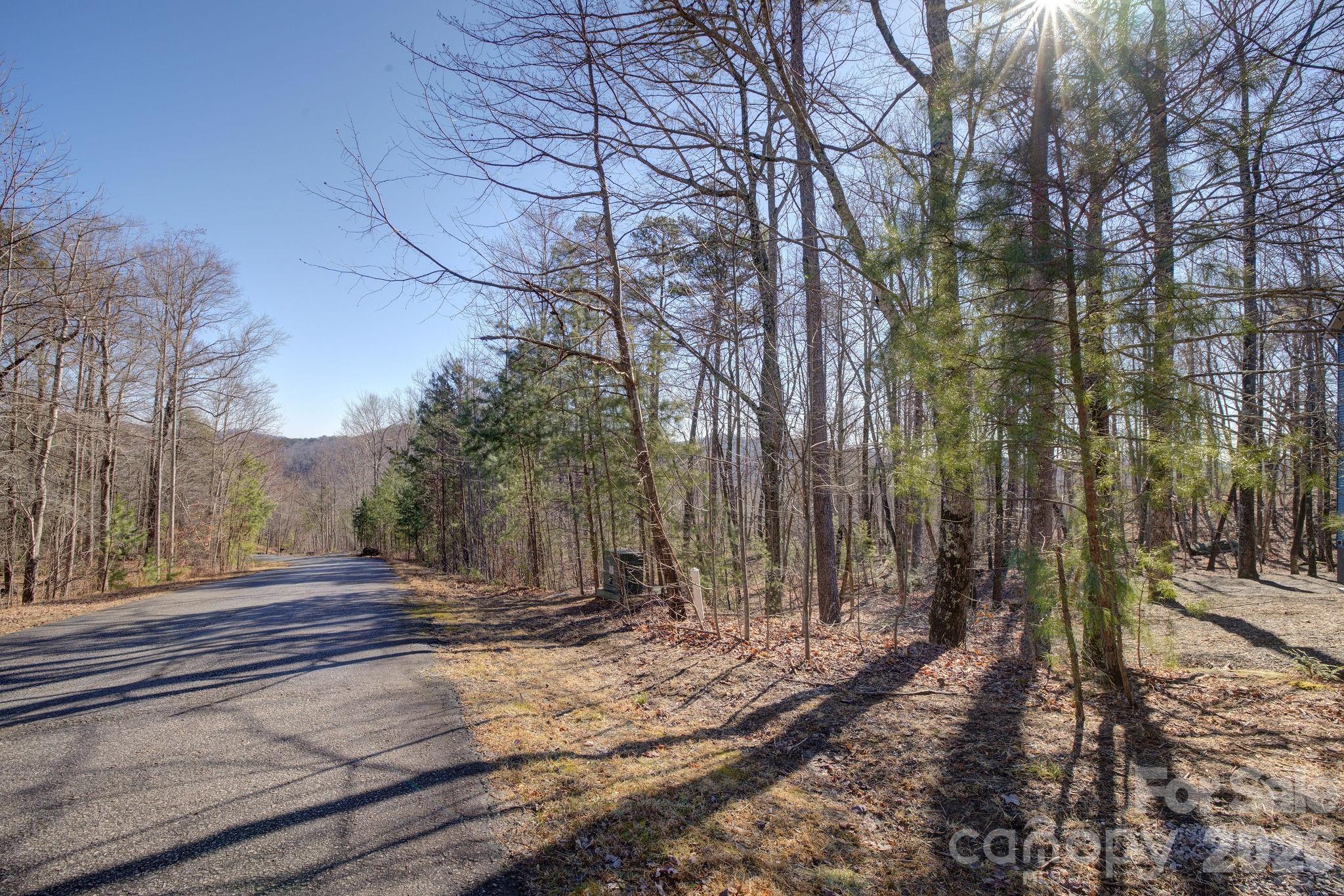 Rumbling Bald on Lake Lure - Land