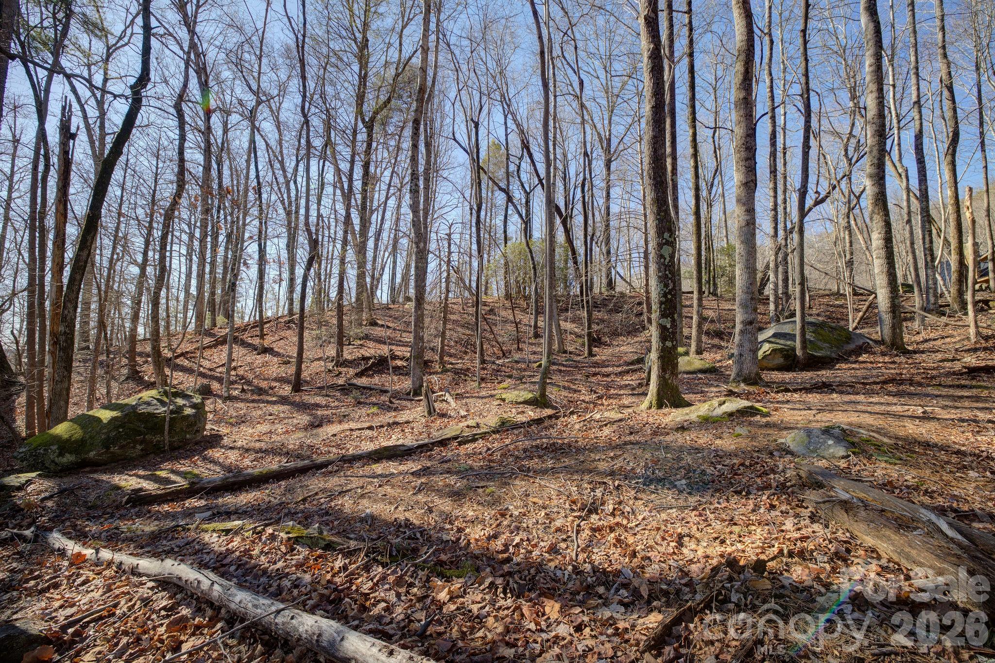 004 High Road Court 4