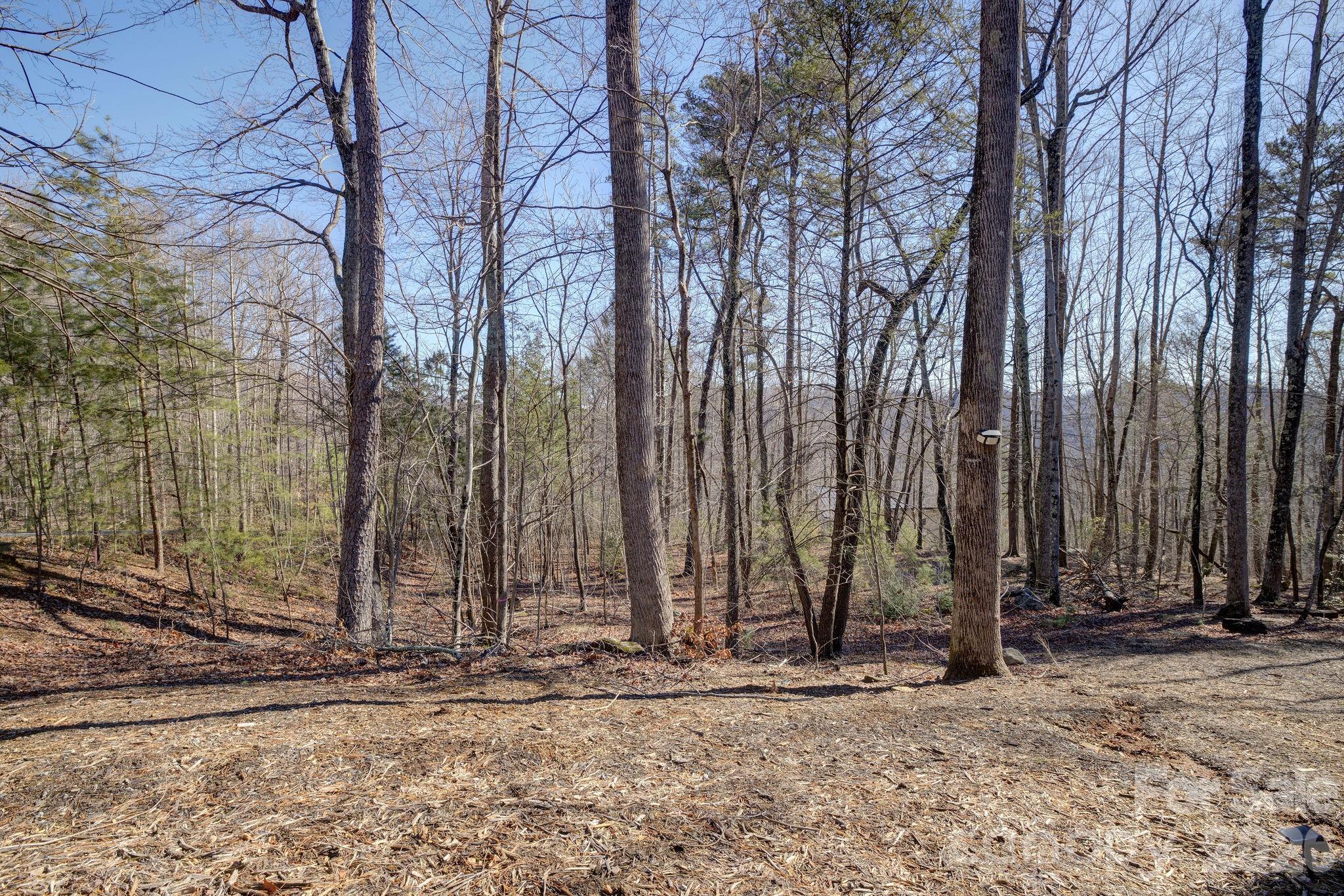 Rumbling Bald on Lake Lure - Land