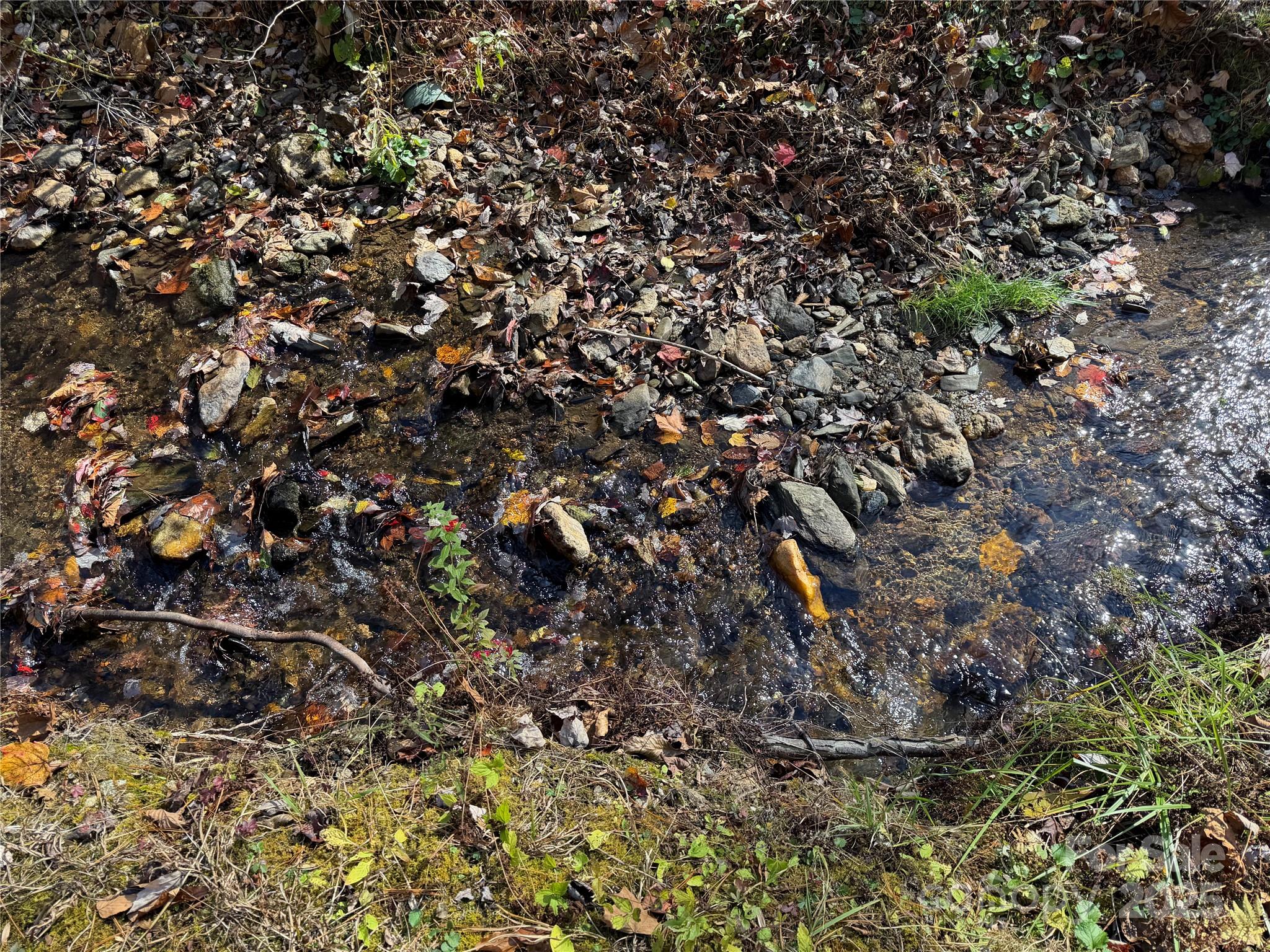 1917 Longbottom Road