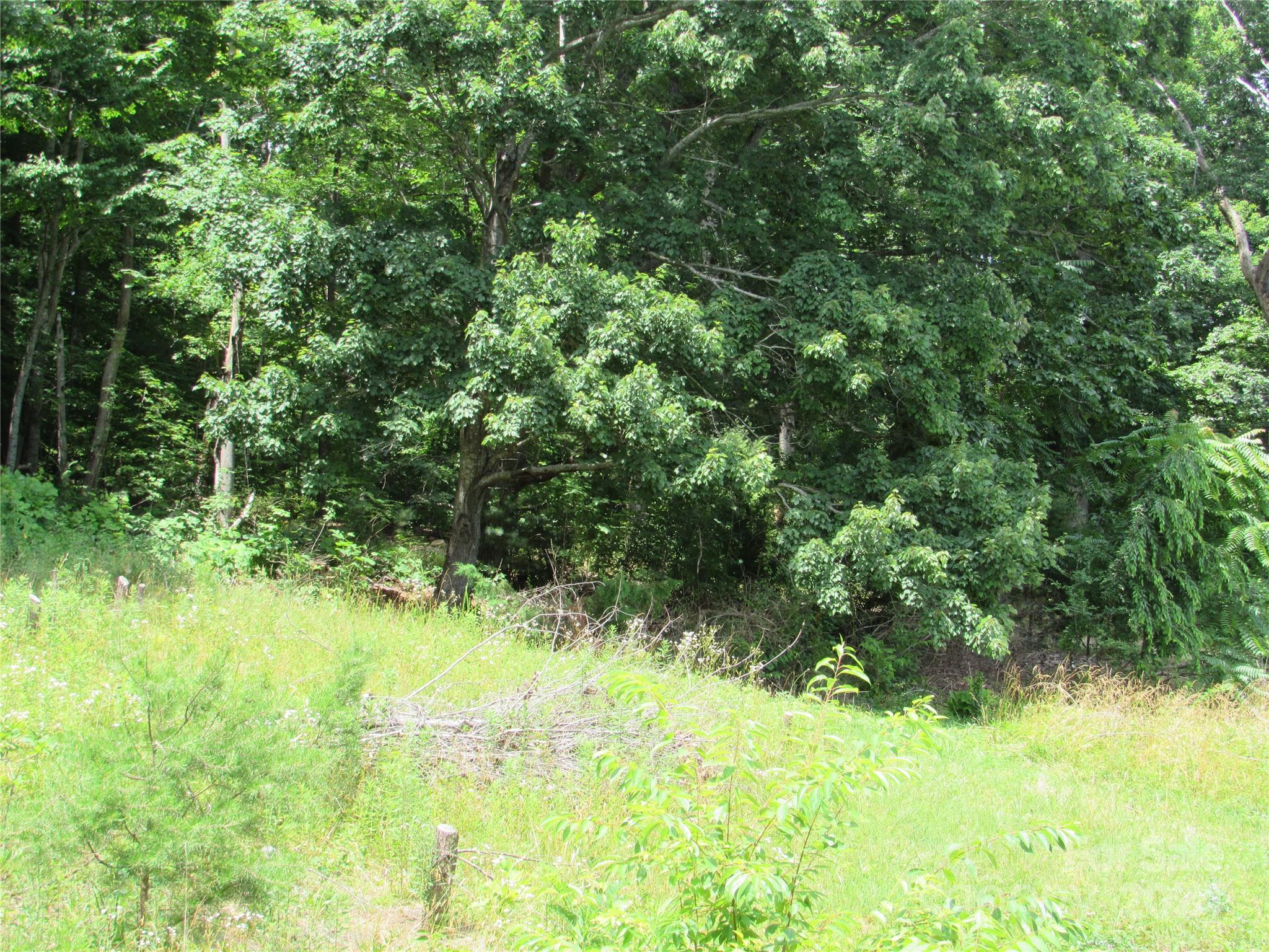 #5 Longview Circle
