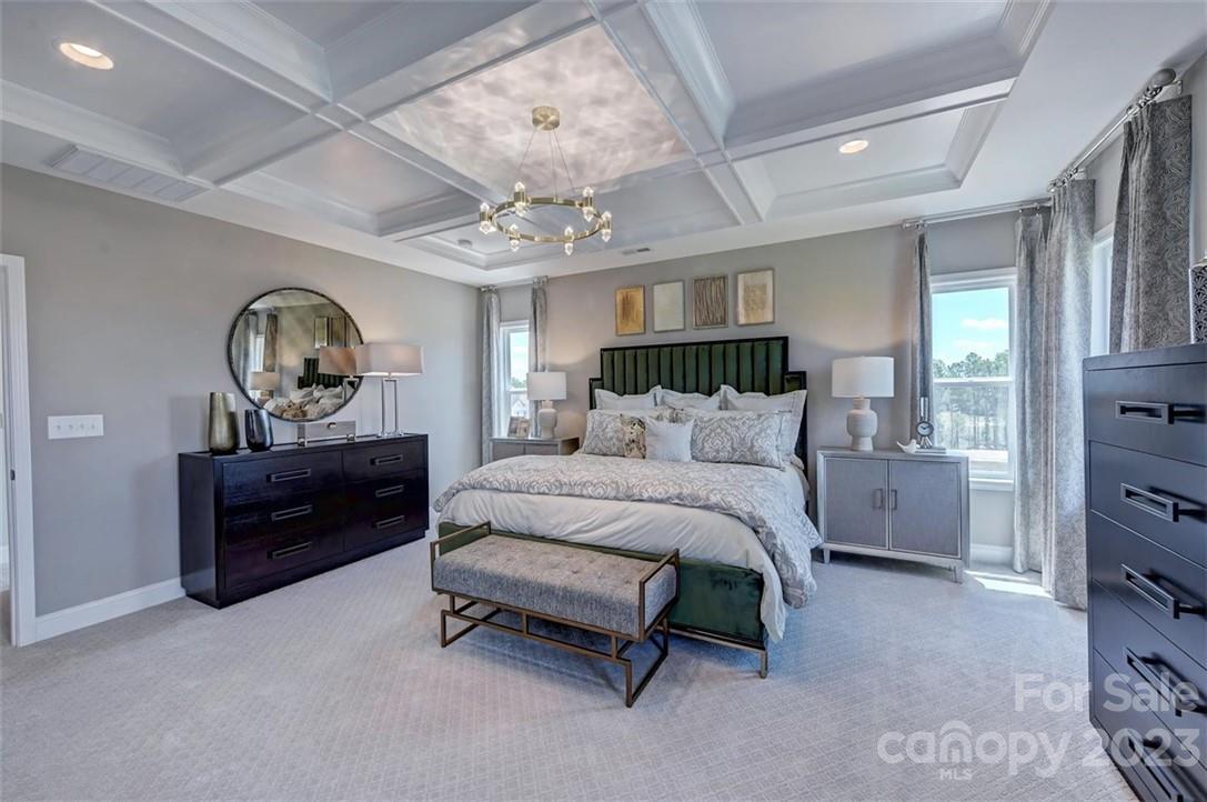 Meadow Vista - Residential